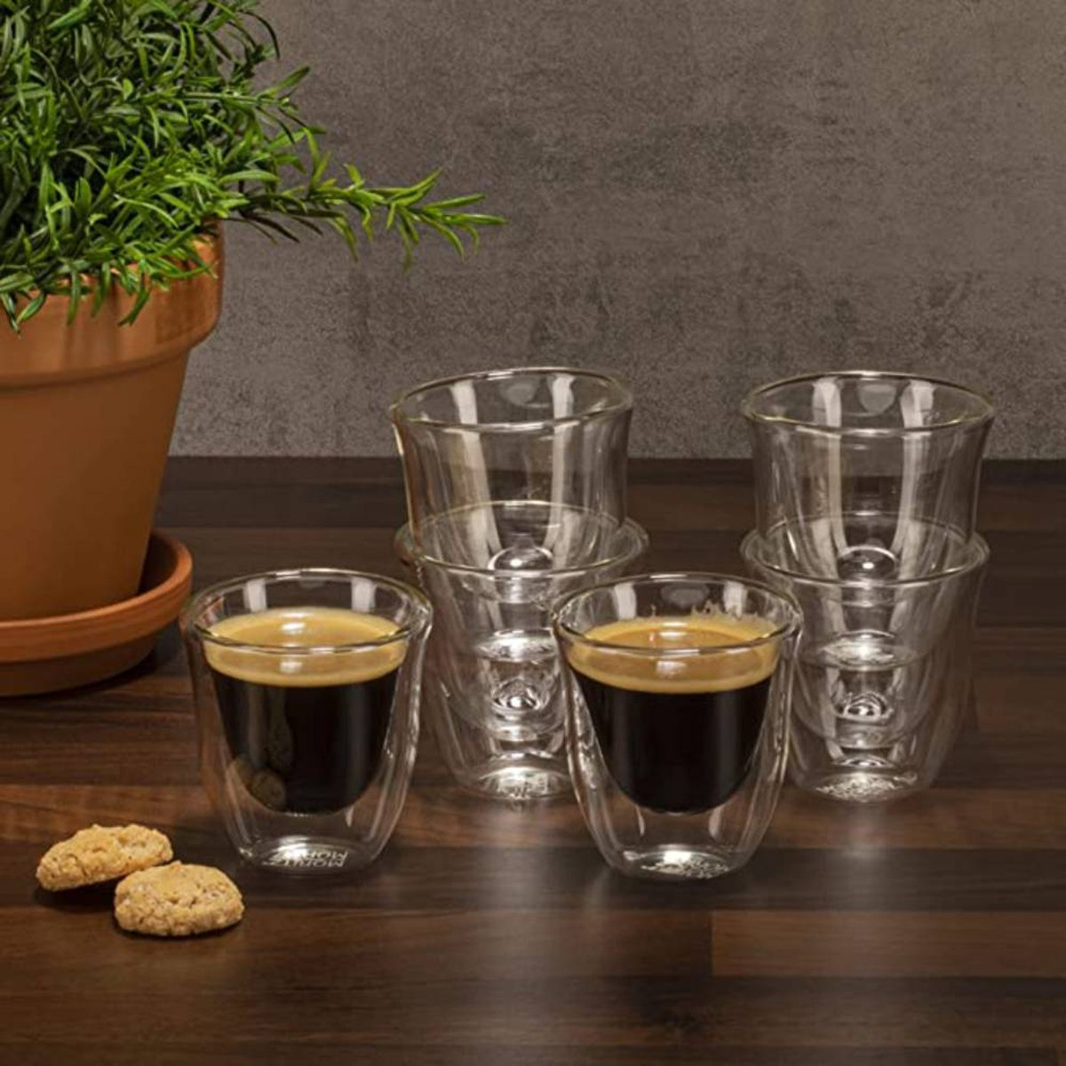 Zen Double Wall Espresso Tea Coffee Cup - Set of 6-hbxhomeware-hbxkitchen-image-2