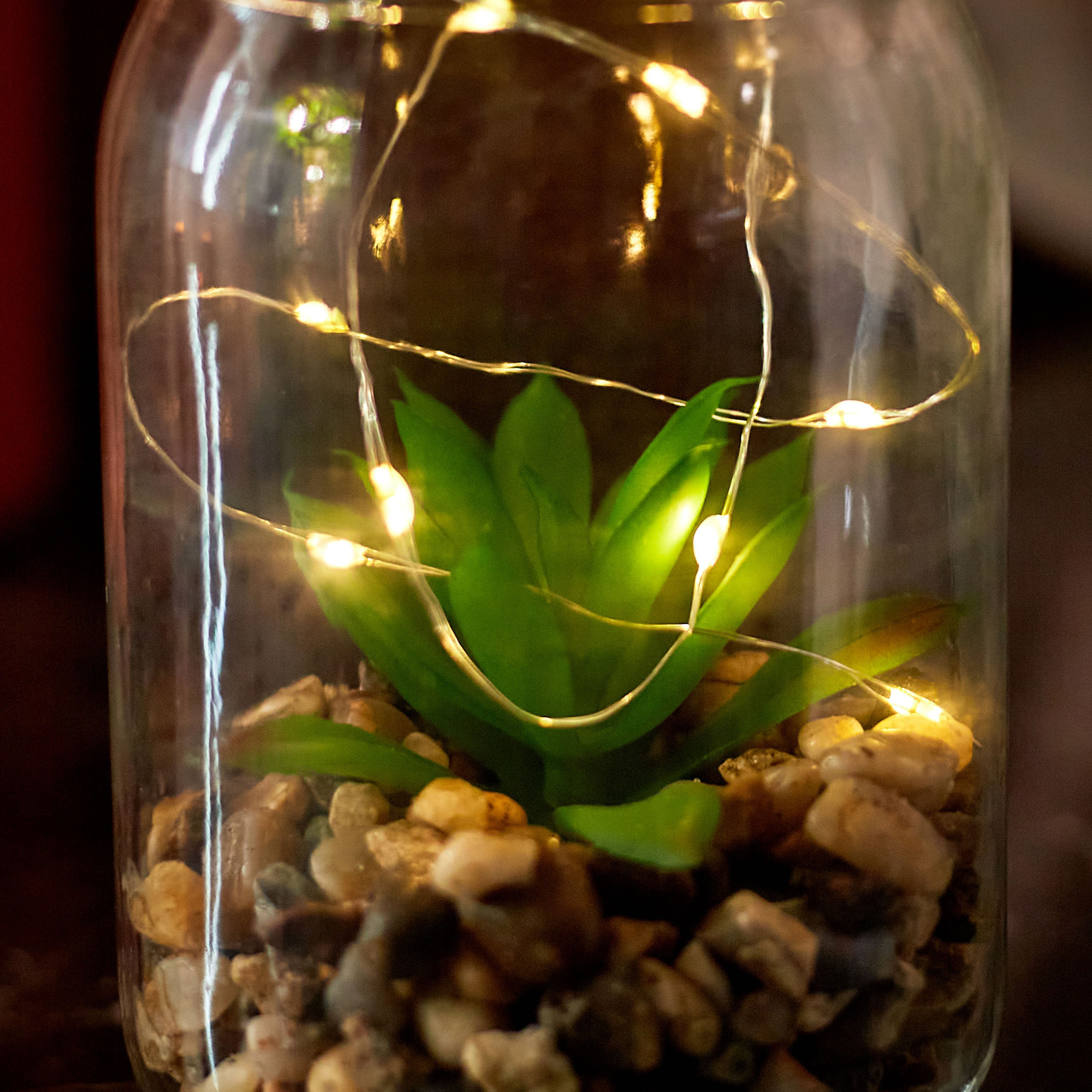 Orla Glass Bottle with 10-Micro LED Light and Artificial Succulent - 8.5x14 cm-hbxdiningroom-lighting-decorativesandstringlights-image-3