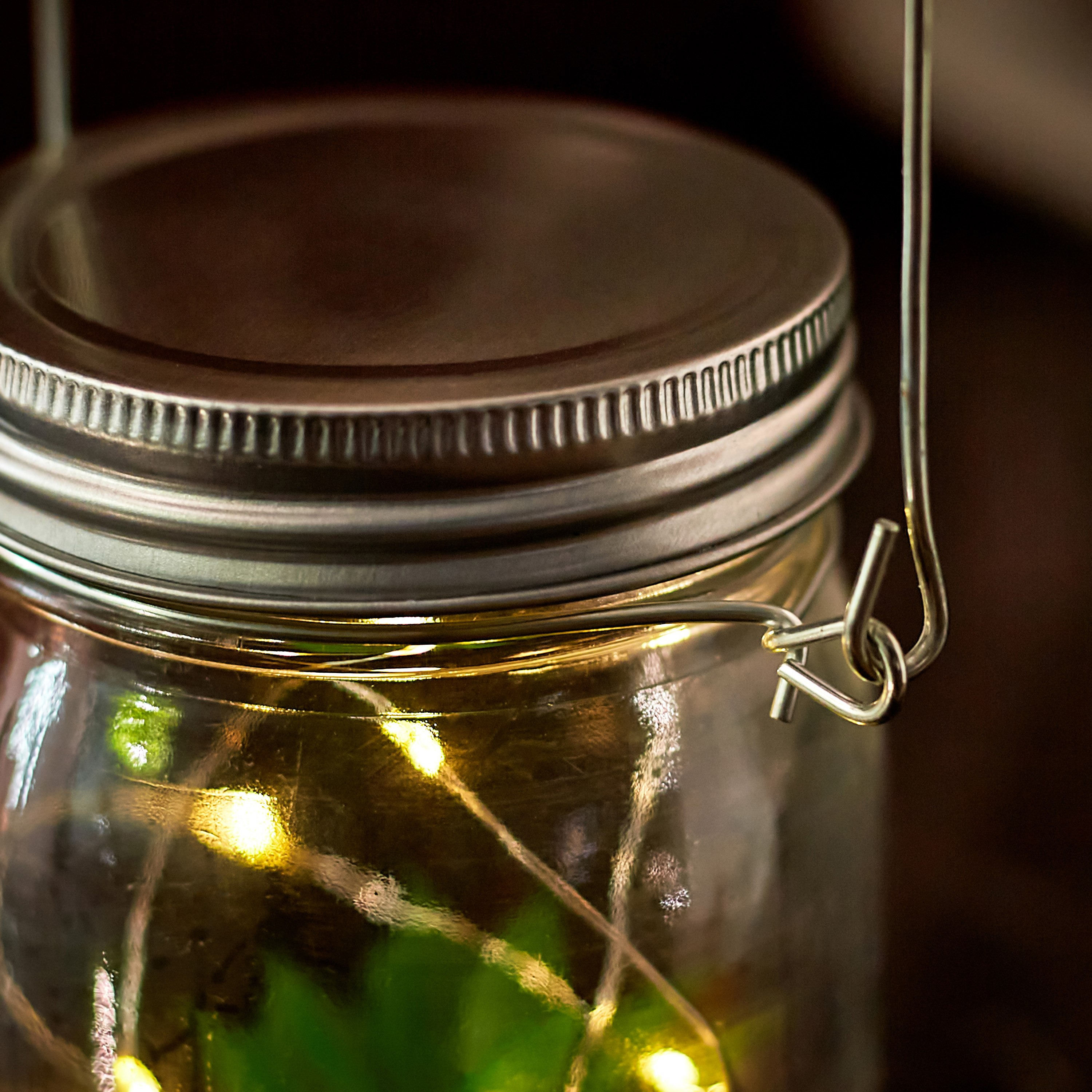 Orla Glass Bottle with 10-Micro LED Light and Artificial Succulent - 8.5x14 cm-hbxdiningroom-lighting-decorativesandstringlights-image-4