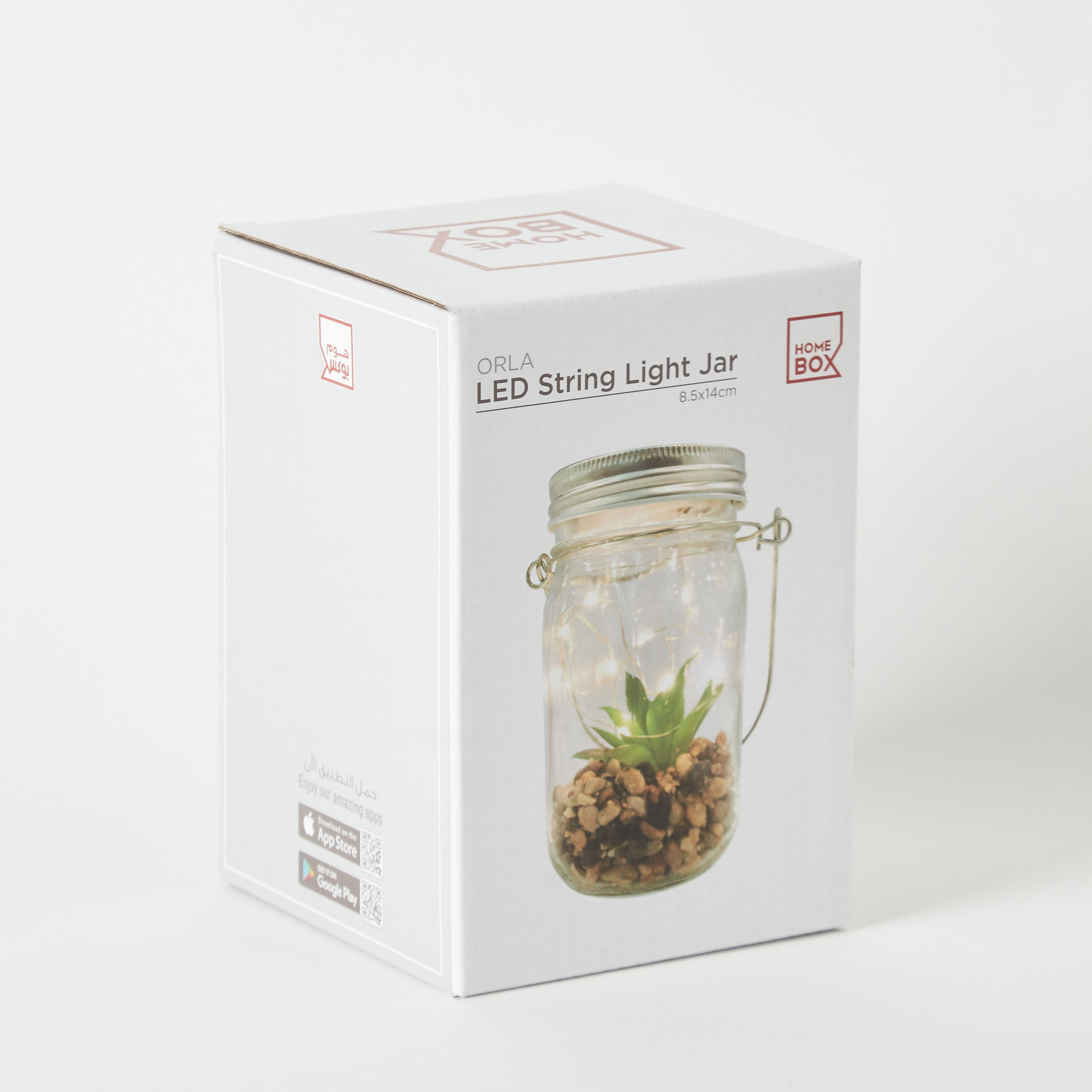 Orla Glass Bottle with 10-Micro LED Light and Artificial Succulent - 8.5x14 cm-hbxdiningroom-lighting-decorativesandstringlights-image-6