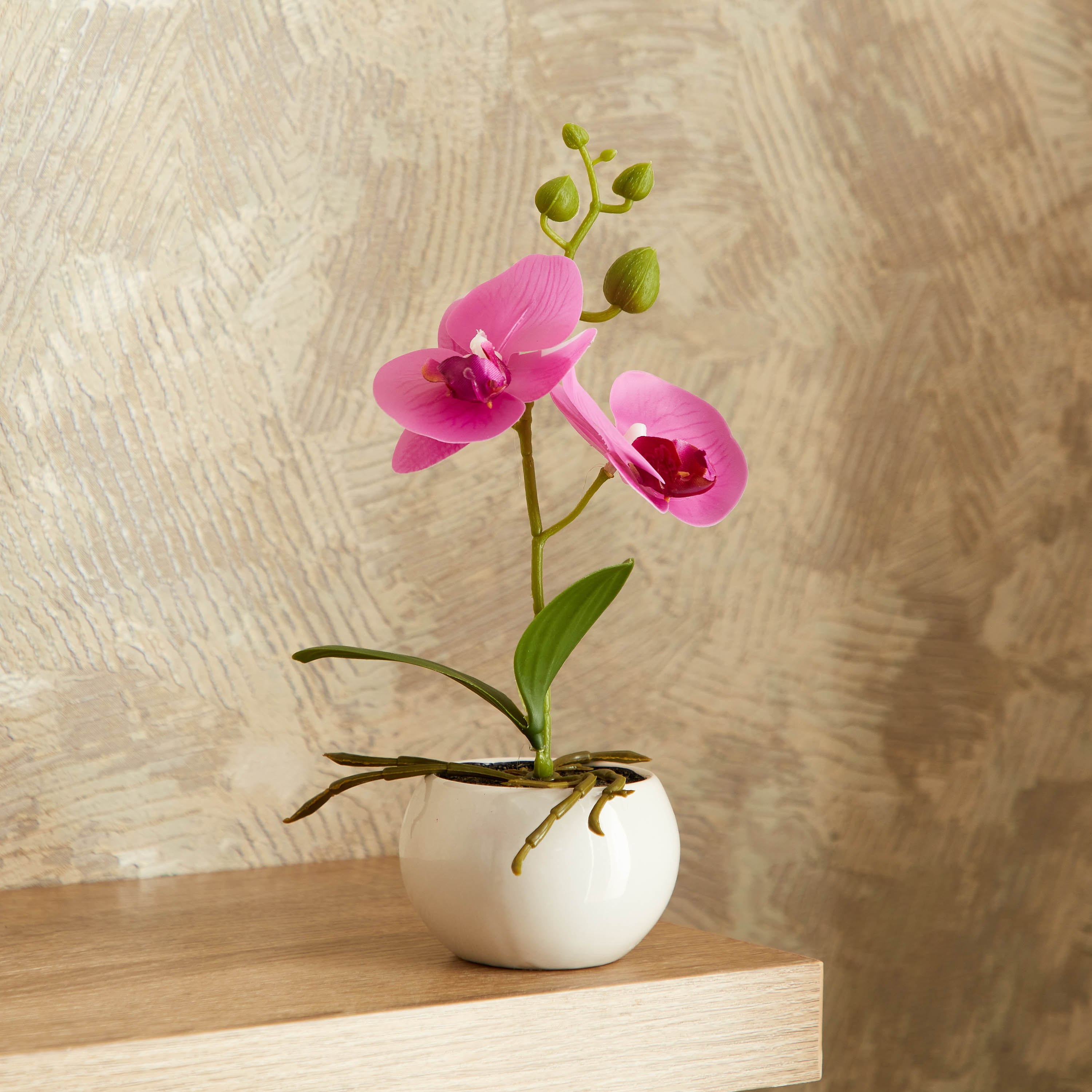 نبات أوركيد أرجواني في إناء زرع سيراميك من إيدنيك - 25 سم-hbxdecorandfurnishings-homeaccessories-artificialflowersandplants-image-1