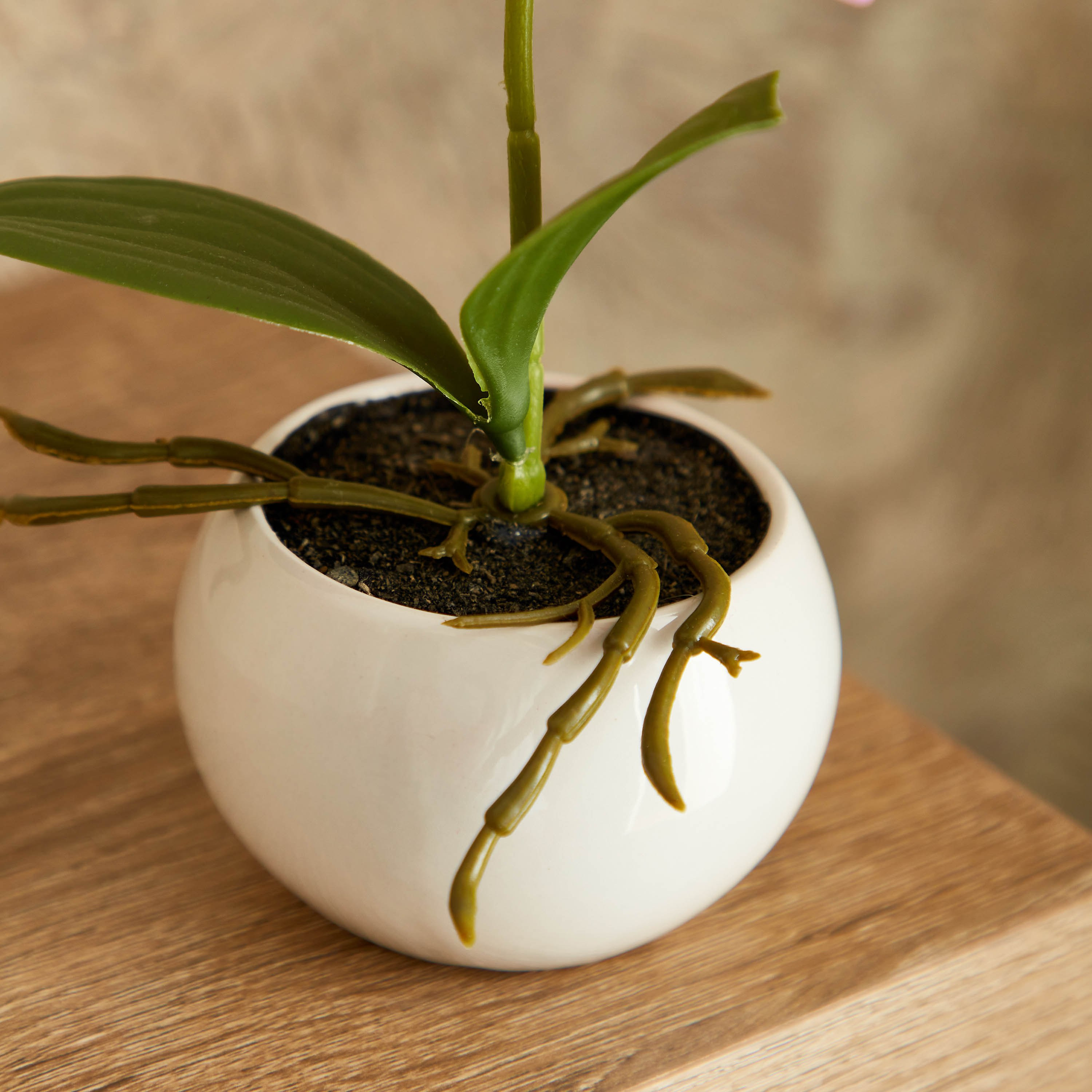 نبات أوركيد أرجواني في إناء زرع سيراميك من إيدنيك - 25 سم-hbxdecorandfurnishings-homeaccessories-artificialflowersandplants-image-3