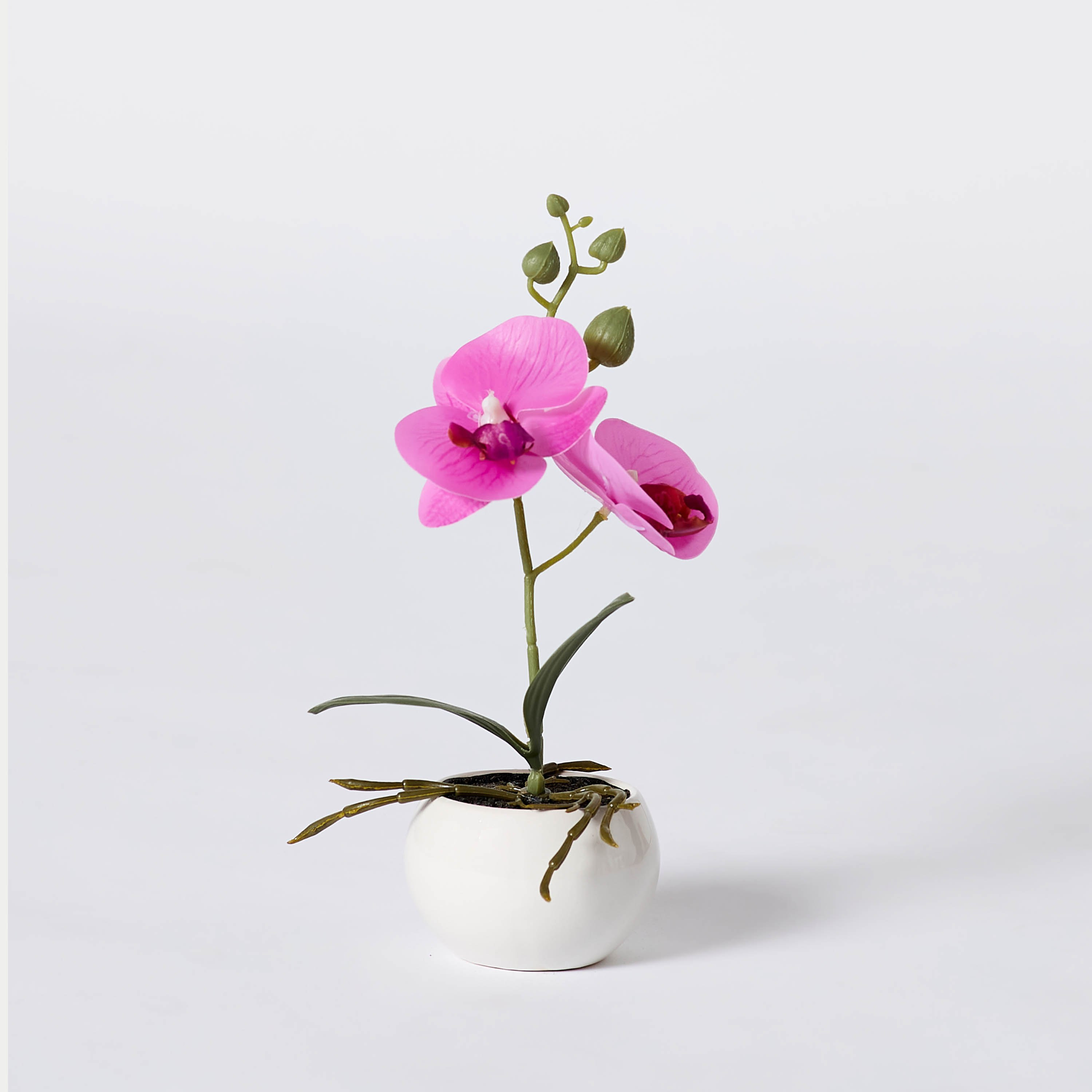 نبات أوركيد أرجواني في إناء زرع سيراميك من إيدنيك - 25 سم-hbxdecorandfurnishings-homeaccessories-artificialflowersandplants-image-5