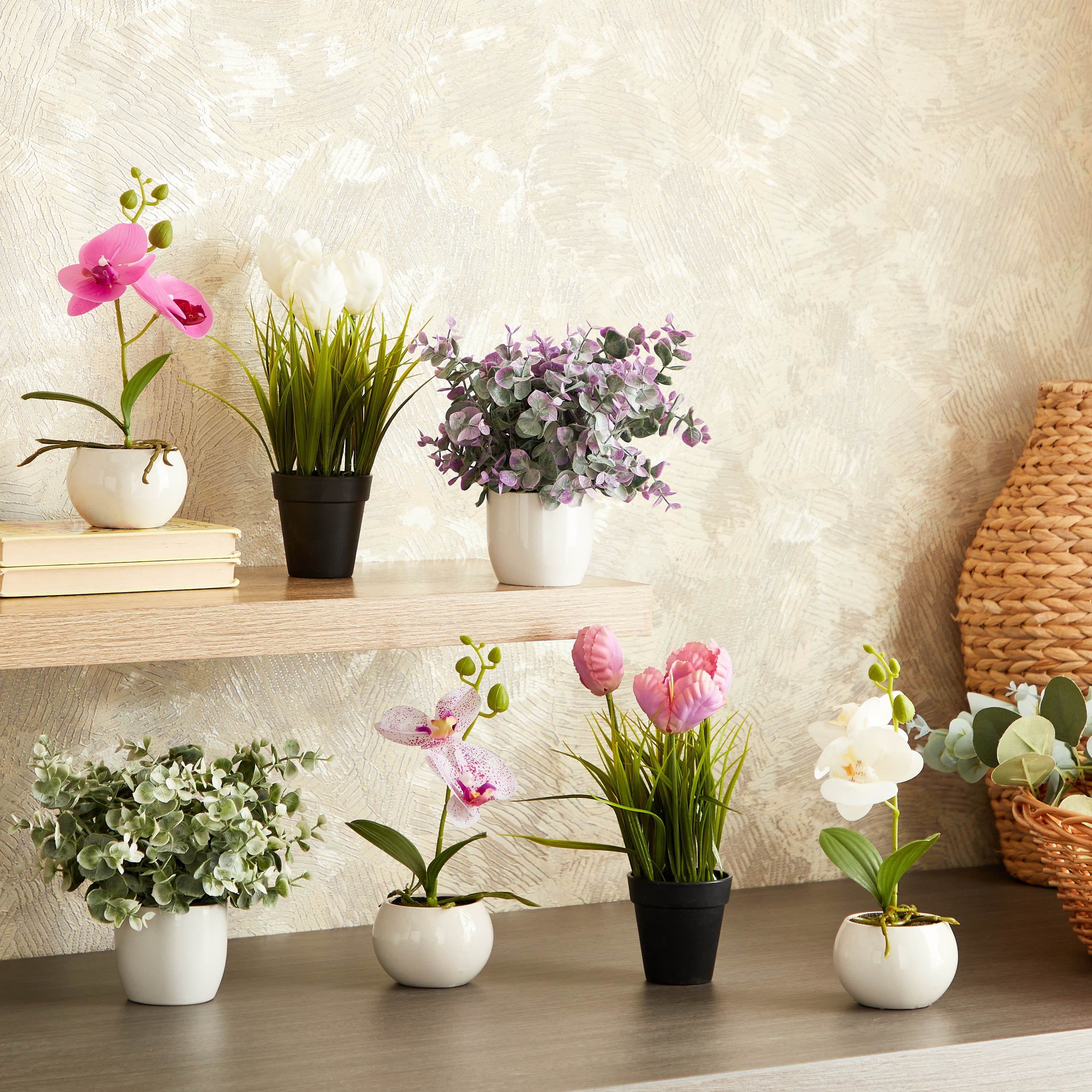 نبات أوركيد في إناء سيراميك من إيدنيك - 25 سم-hbxdecorandfurnishings-homeaccessories-artificialflowersandplants-image-4