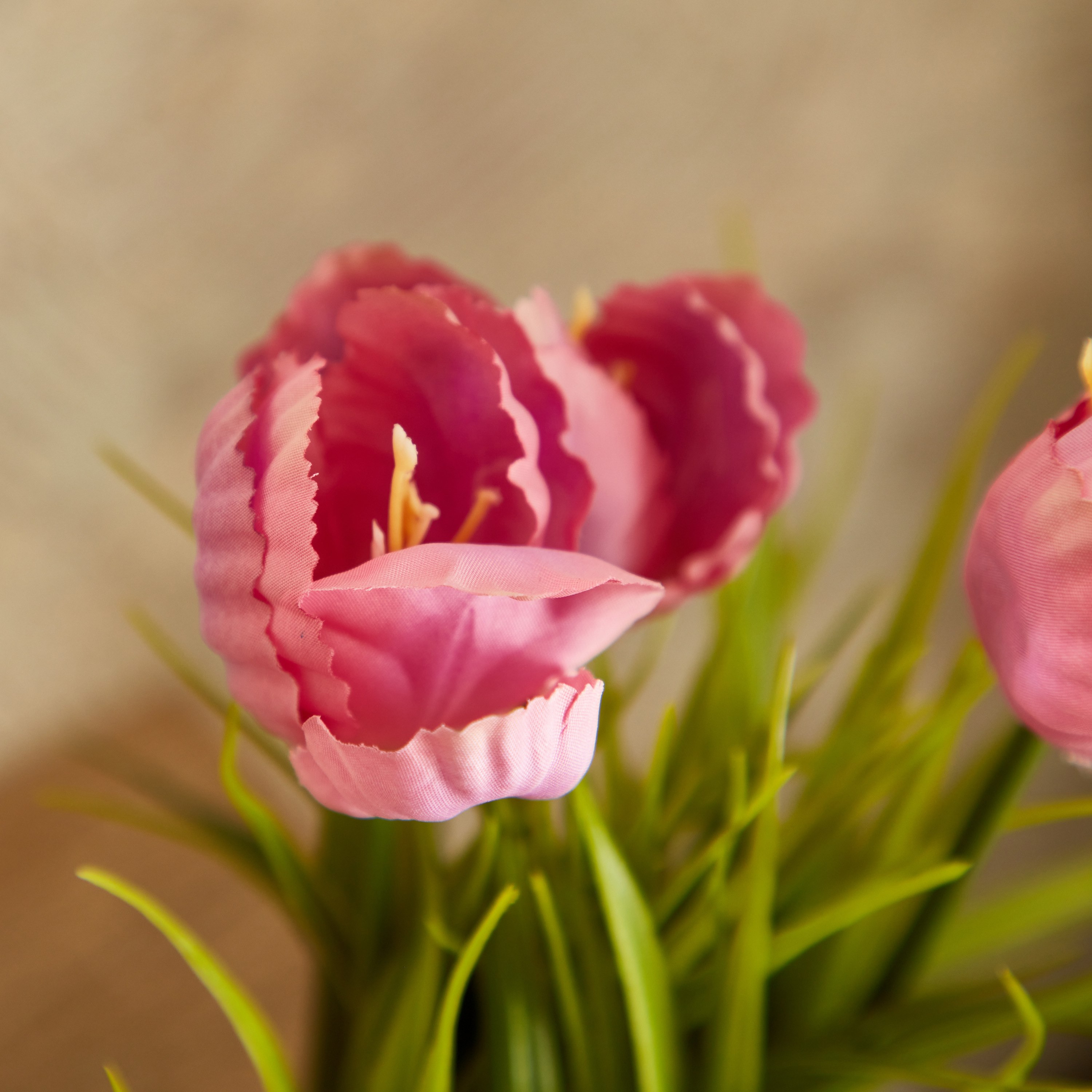 3 زهرات ديكور في وعاء من إيدنيك - 25 سم-hbxdecorandfurnishings-homeaccessories-artificialflowersandplants-image-2