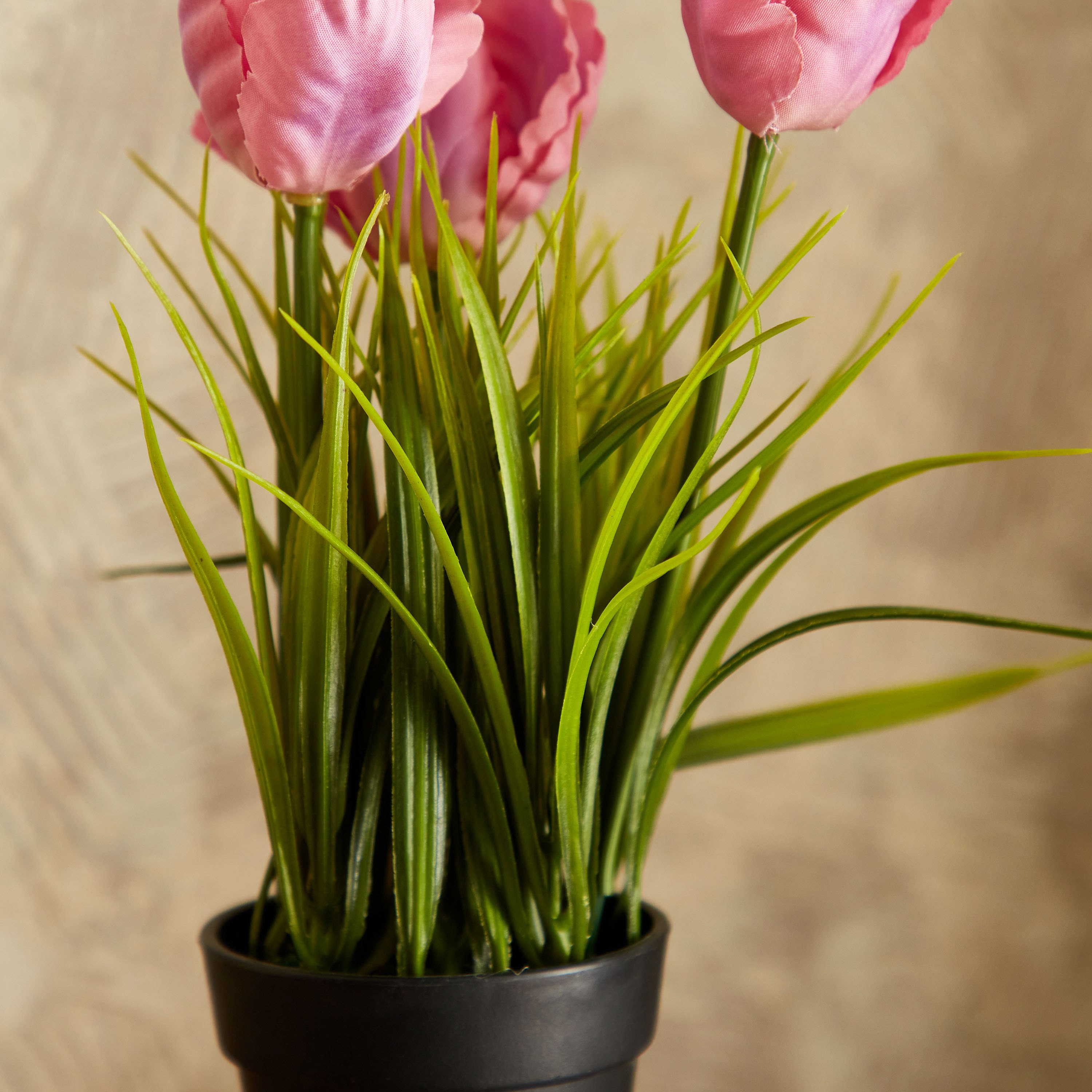 3 زهرات ديكور في وعاء من إيدنيك - 25 سم-hbxdecorandfurnishings-homeaccessories-artificialflowersandplants-image-3