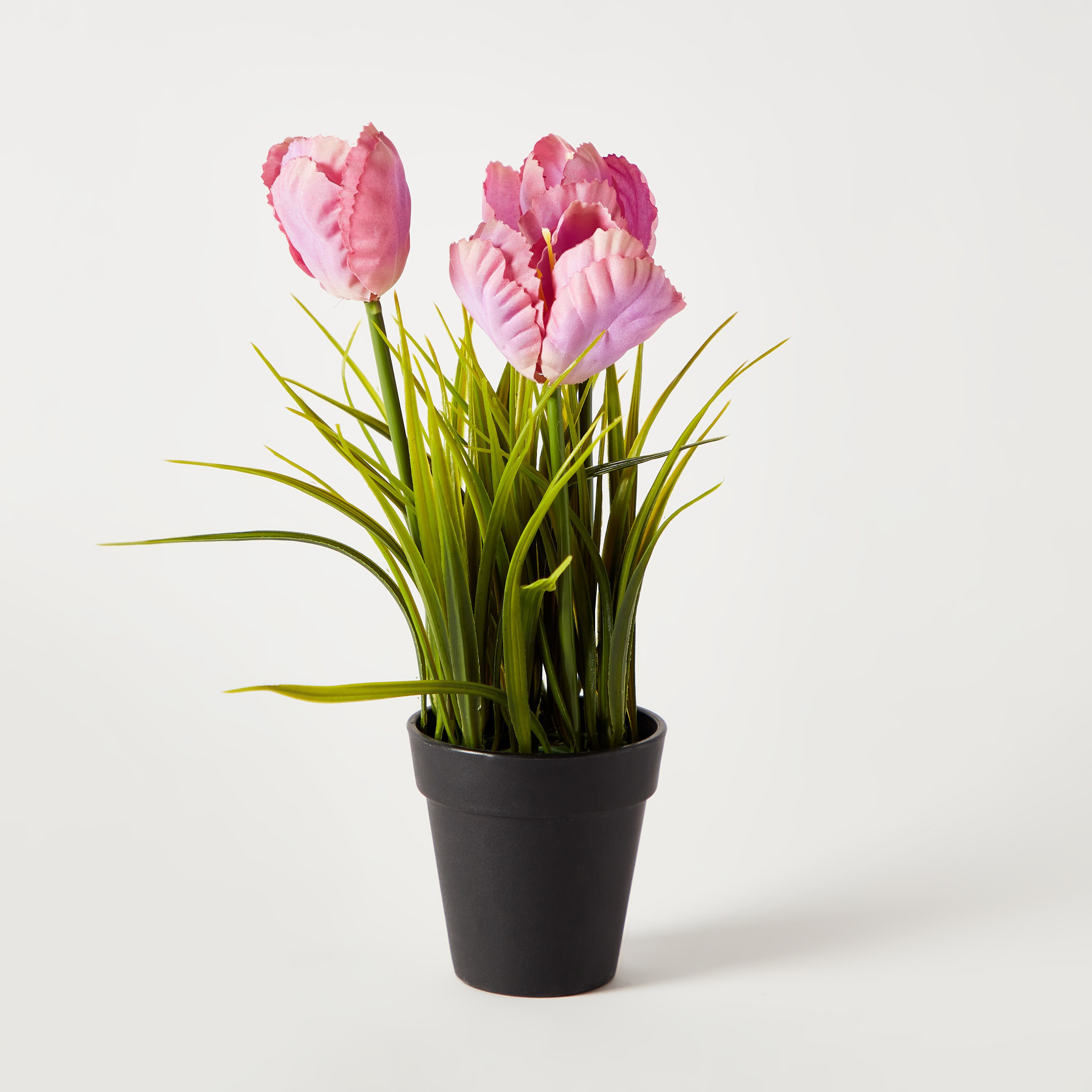 3 زهرات ديكور في وعاء من إيدنيك - 25 سم-hbxdecorandfurnishings-homeaccessories-artificialflowersandplants-image-5
