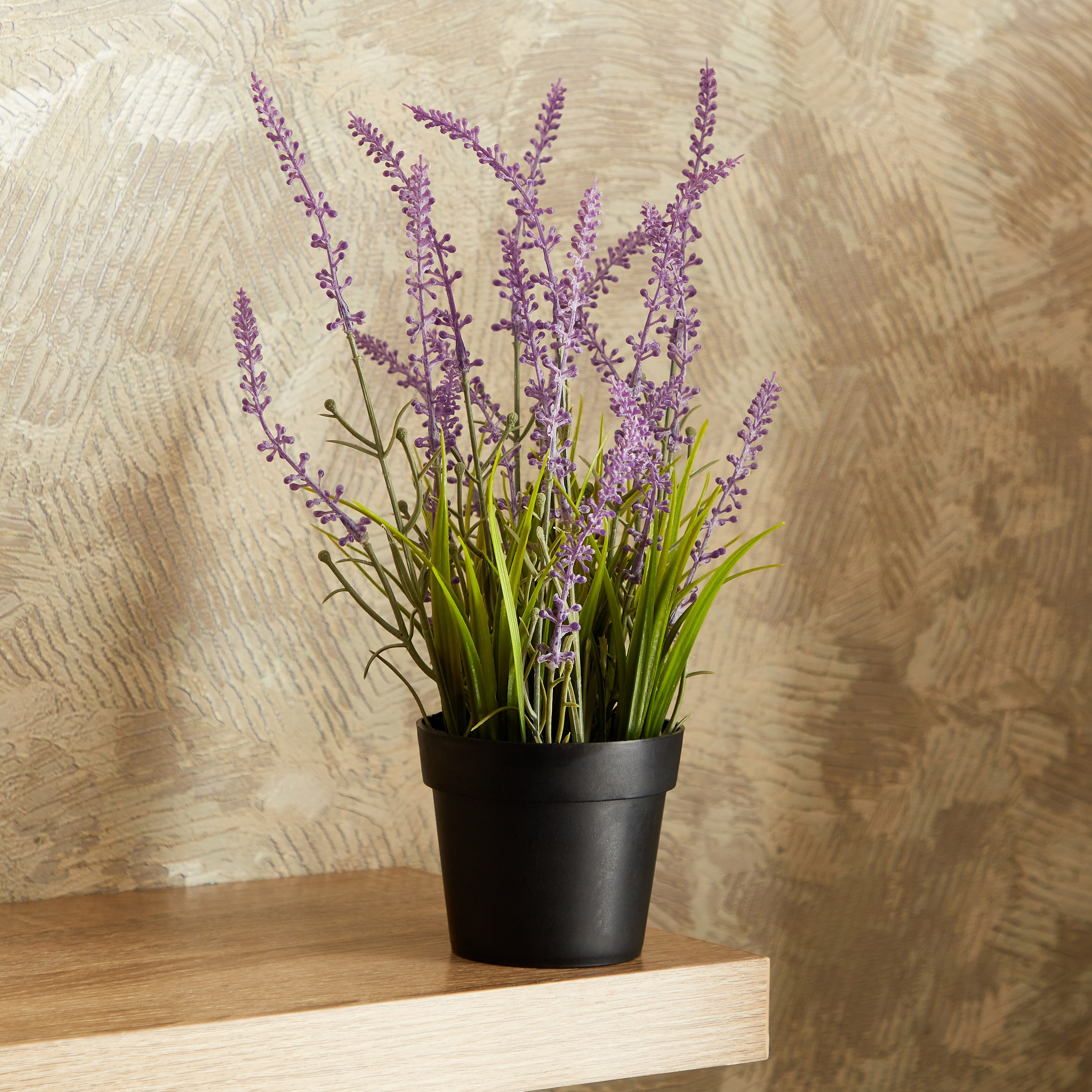 نبات لافندر صغير مع وعاء من إيدنيك - 30 سم-hbxdecorandfurnishings-homeaccessories-artificialflowersandplants-image-1