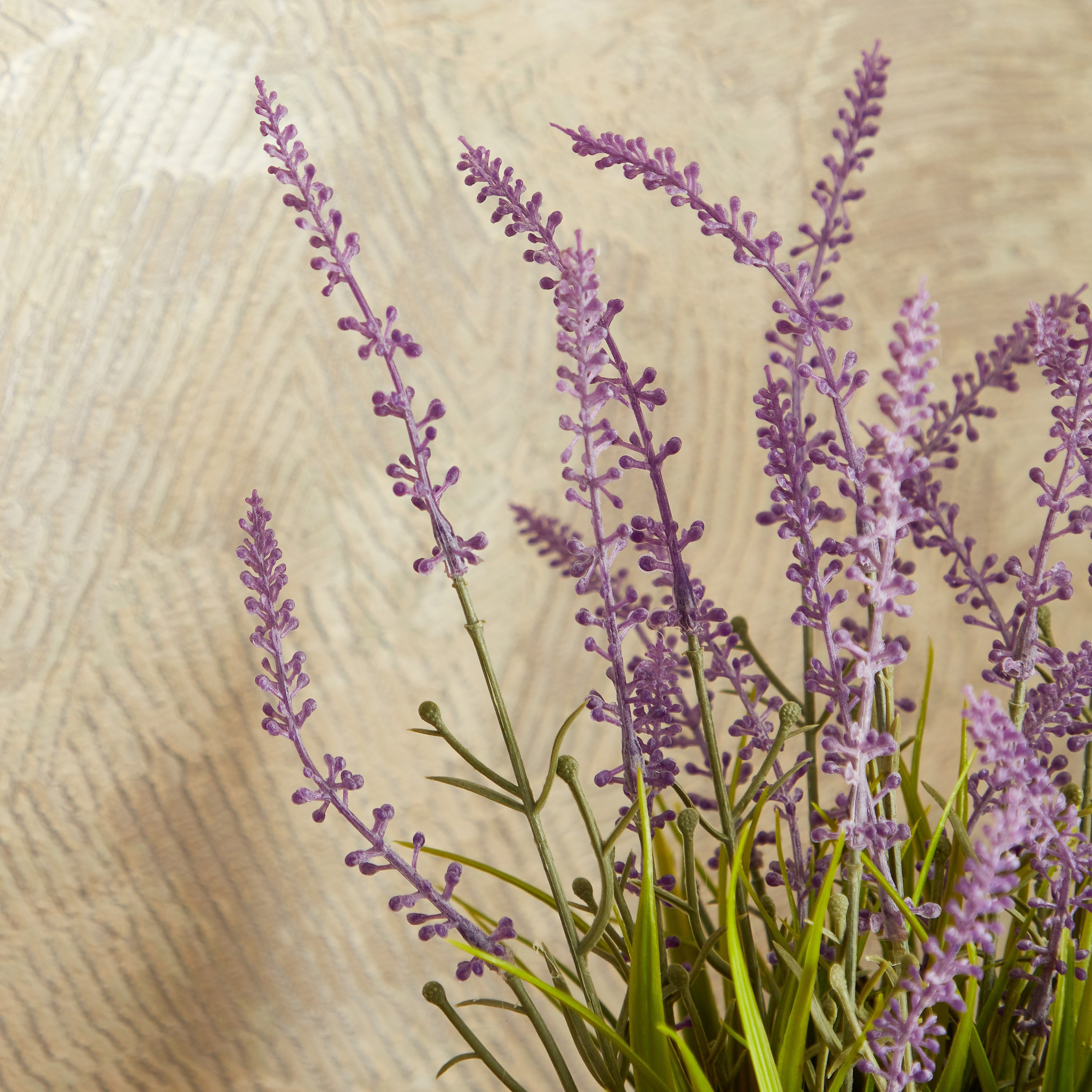 نبات لافندر صغير مع وعاء من إيدنيك - 30 سم-hbxdecorandfurnishings-homeaccessories-artificialflowersandplants-image-2