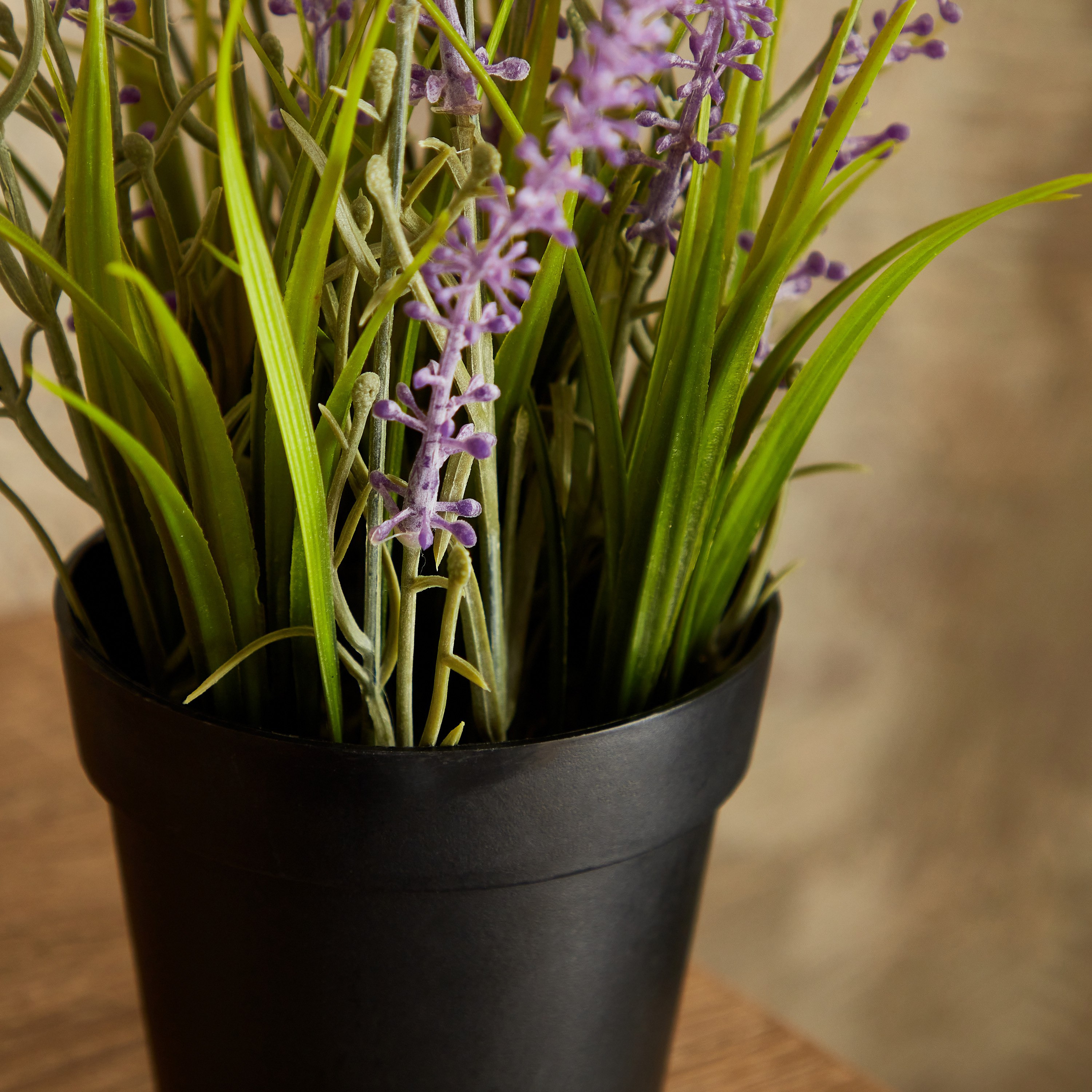 نبات لافندر صغير مع وعاء من إيدنيك - 30 سم-hbxdecorandfurnishings-homeaccessories-artificialflowersandplants-image-3
