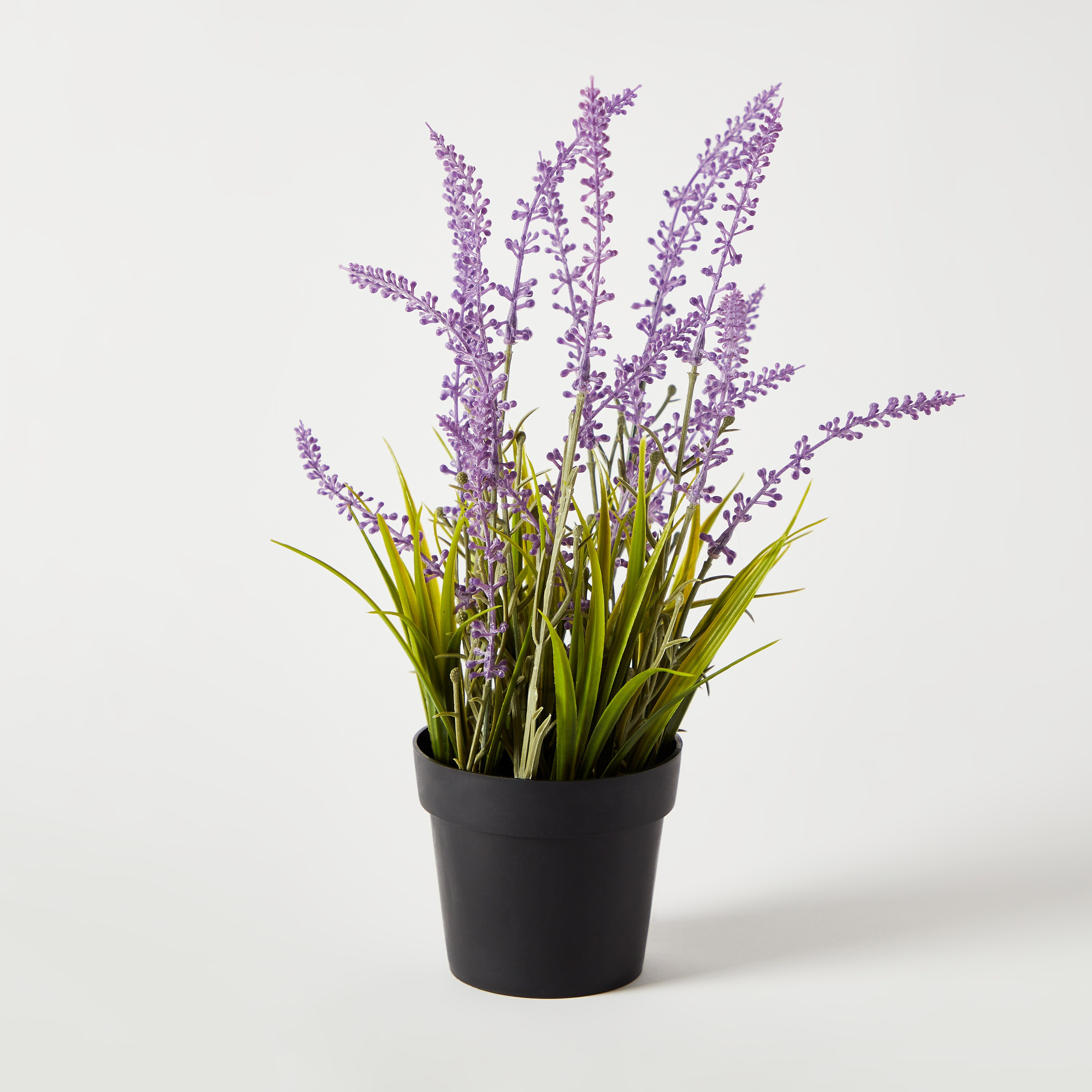 نبات لافندر صغير مع وعاء من إيدنيك - 30 سم-hbxdecorandfurnishings-homeaccessories-artificialflowersandplants-image-5