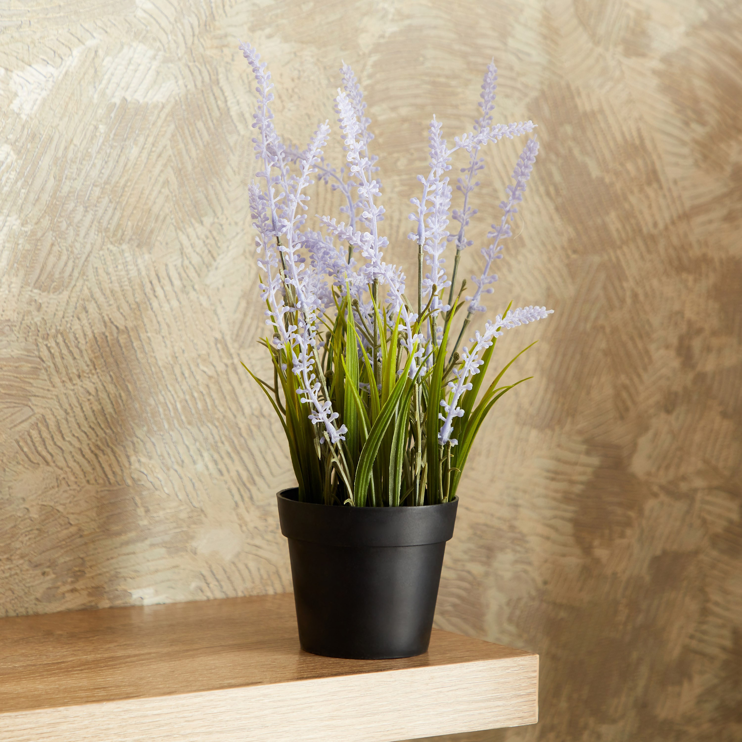 نبات خزامى صغير مع إناء زرع  بلاستيك من إيدنيك - 30 سم-hbxdecorandfurnishings-homeaccessories-artificialflowersandplants-image-1