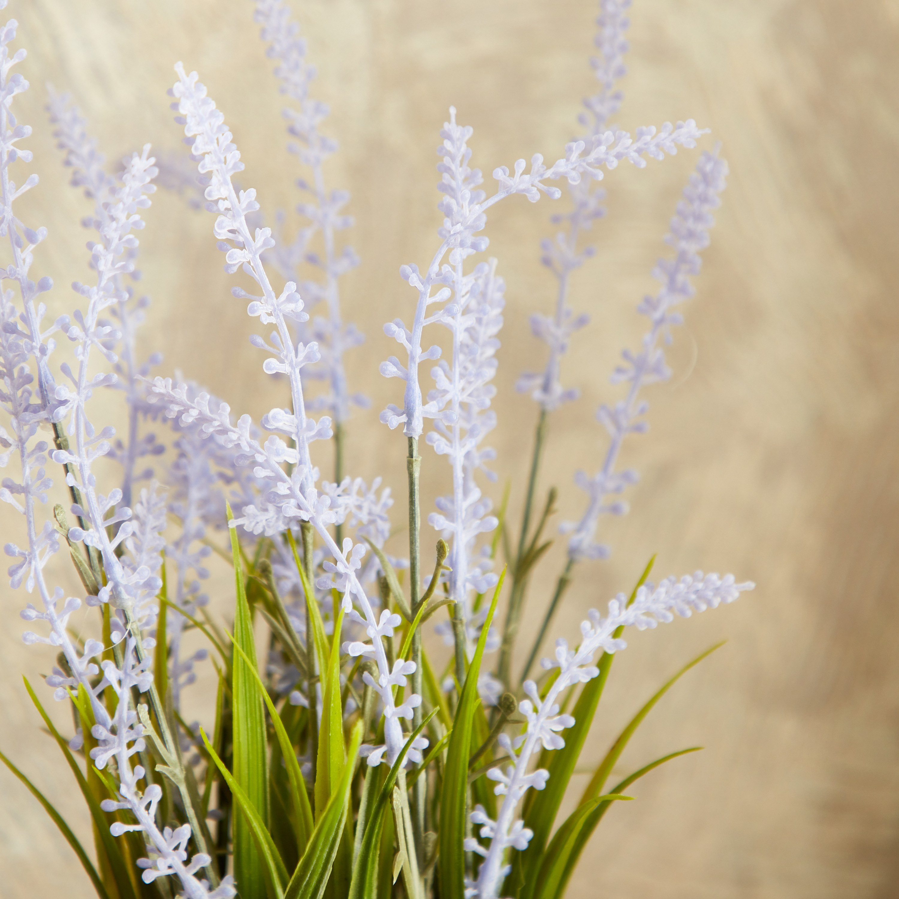 نبات خزامى صغير مع إناء زرع  بلاستيك من إيدنيك - 30 سم-hbxdecorandfurnishings-homeaccessories-artificialflowersandplants-image-2