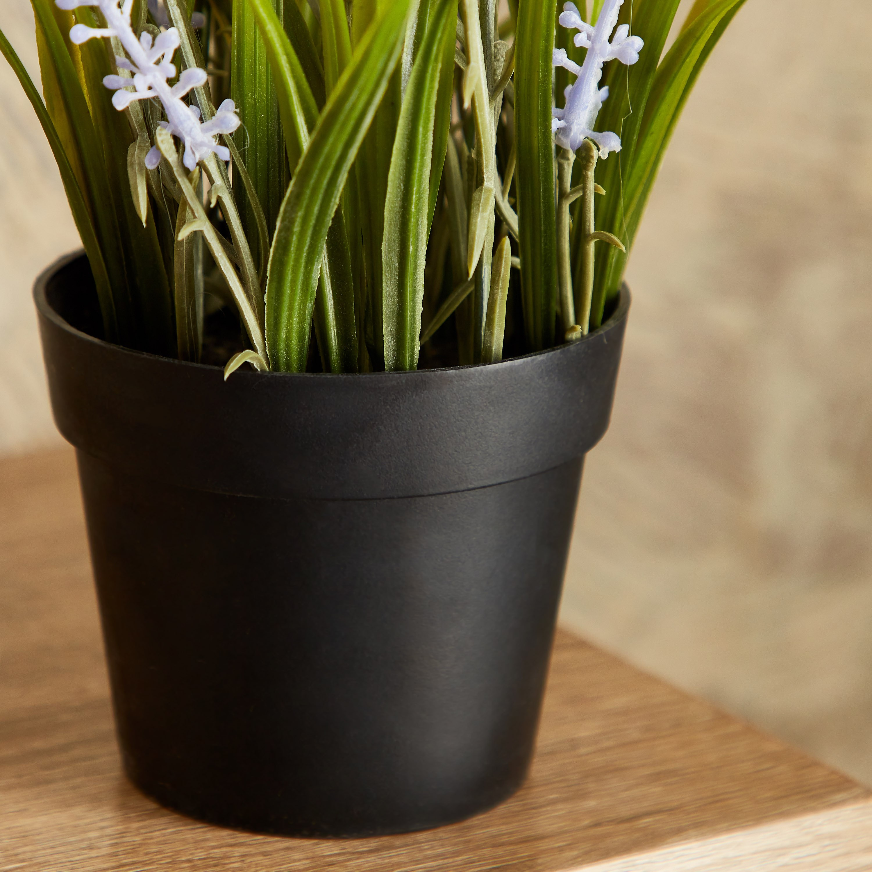 نبات خزامى صغير مع إناء زرع  بلاستيك من إيدنيك - 30 سم-hbxdecorandfurnishings-homeaccessories-artificialflowersandplants-image-3