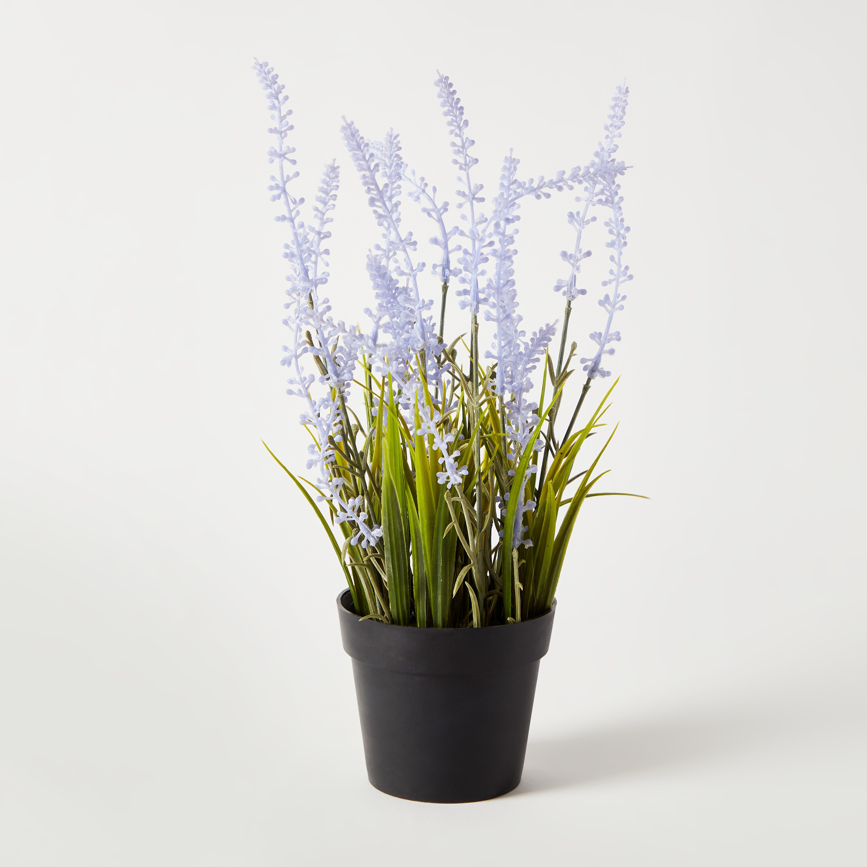 نبات خزامى صغير مع إناء زرع  بلاستيك من إيدنيك - 30 سم-hbxdecorandfurnishings-homeaccessories-artificialflowersandplants-image-5