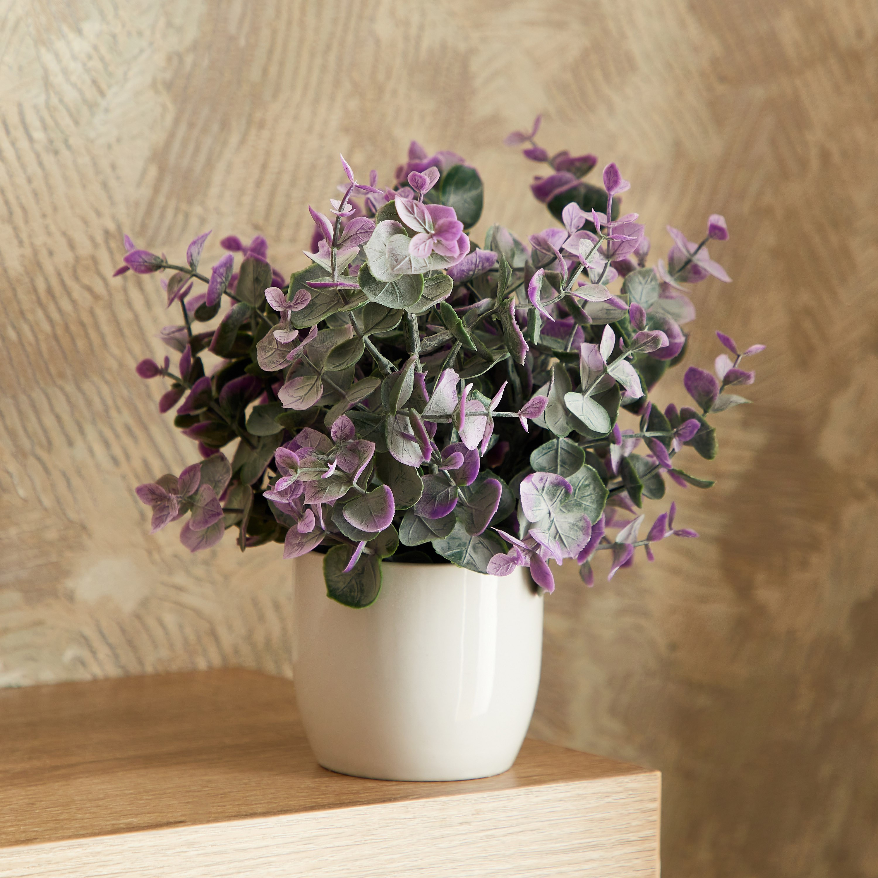 نبات صغير في وعاء سيراميك من إيدنيك - 25 سم-hbxdecorandfurnishings-homeaccessories-artificialflowersandplants-image-1