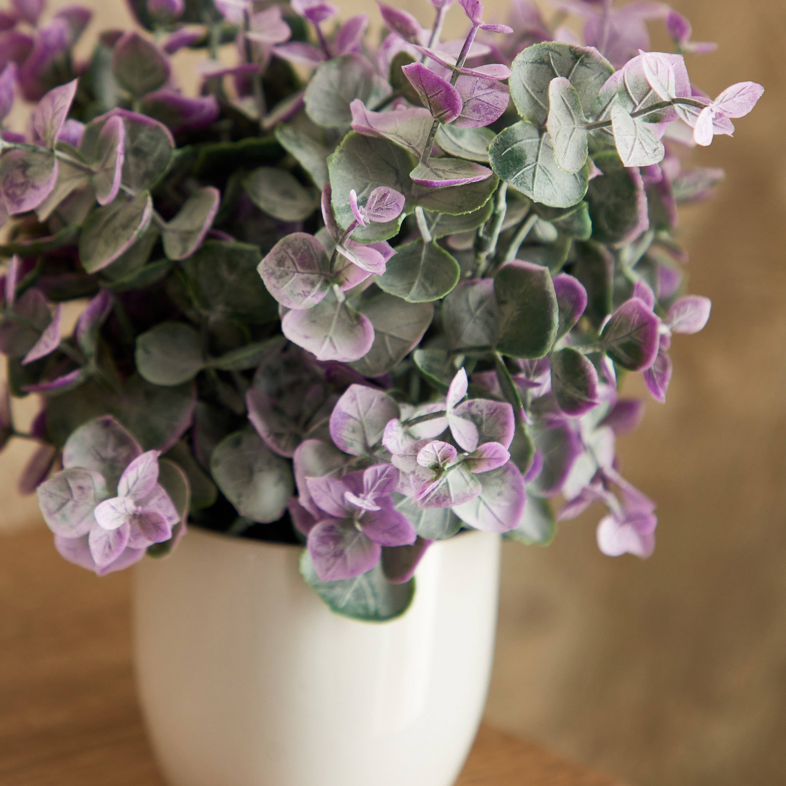 نبات صغير في وعاء سيراميك من إيدنيك - 25 سم-hbxdecorandfurnishings-homeaccessories-artificialflowersandplants-image-2
