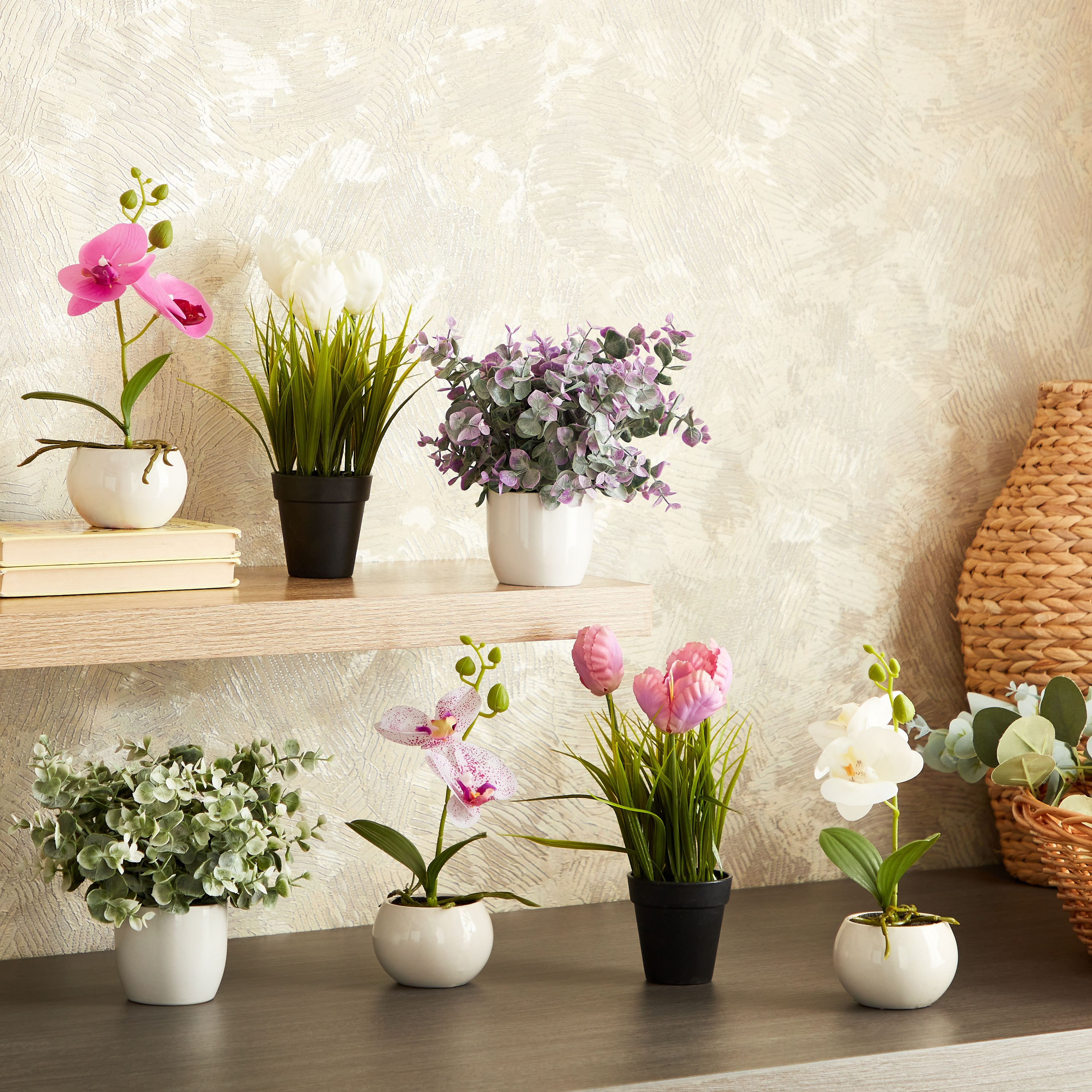 نبات صغير في وعاء سيراميك من إيدنيك - 25 سم-hbxdecorandfurnishings-homeaccessories-artificialflowersandplants-image-3