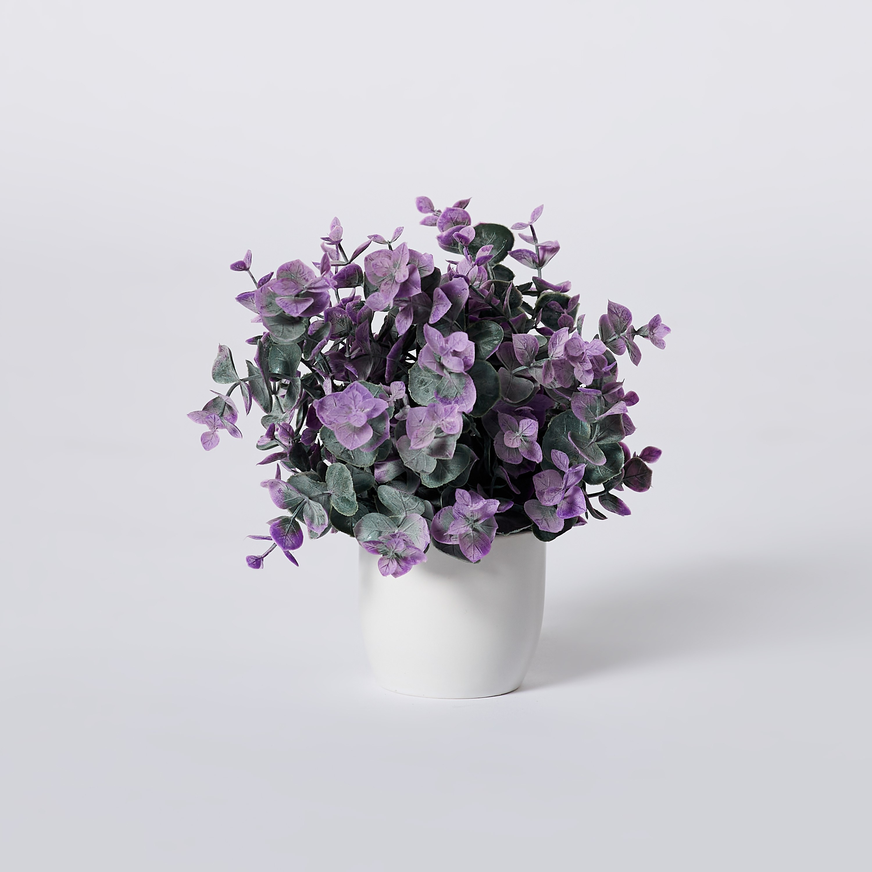 نبات صغير في وعاء سيراميك من إيدنيك - 25 سم-hbxdecorandfurnishings-homeaccessories-artificialflowersandplants-image-4