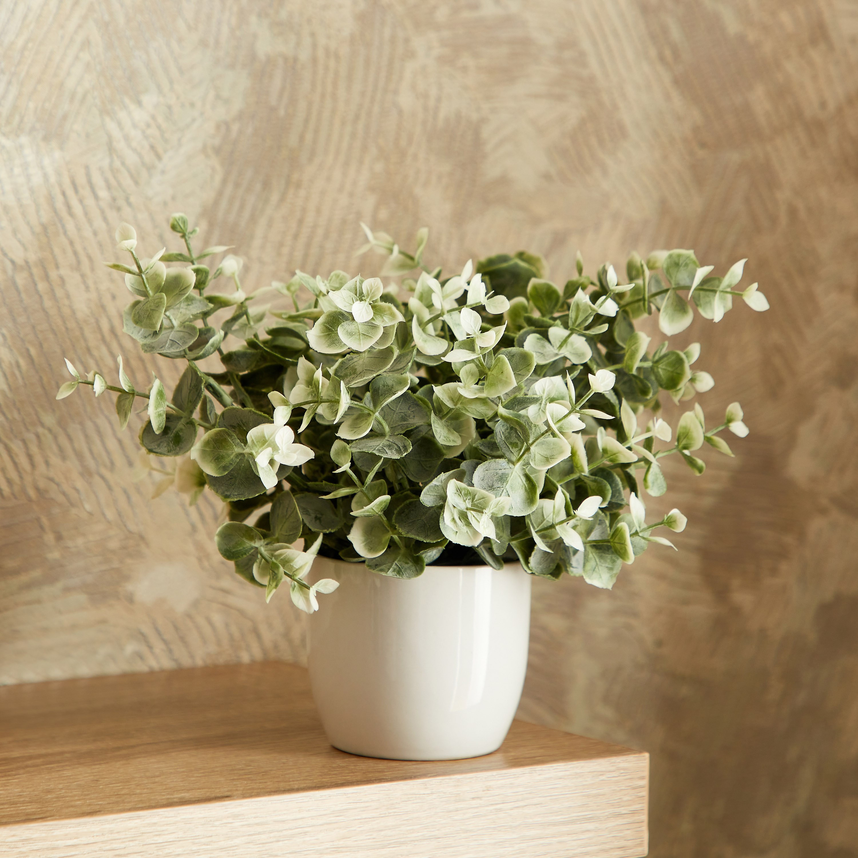 نبات صغير في وعاء سيراميك من إيدنيك - 25 سم-hbxdecorandfurnishings-homeaccessories-artificialflowersandplants-image-1
