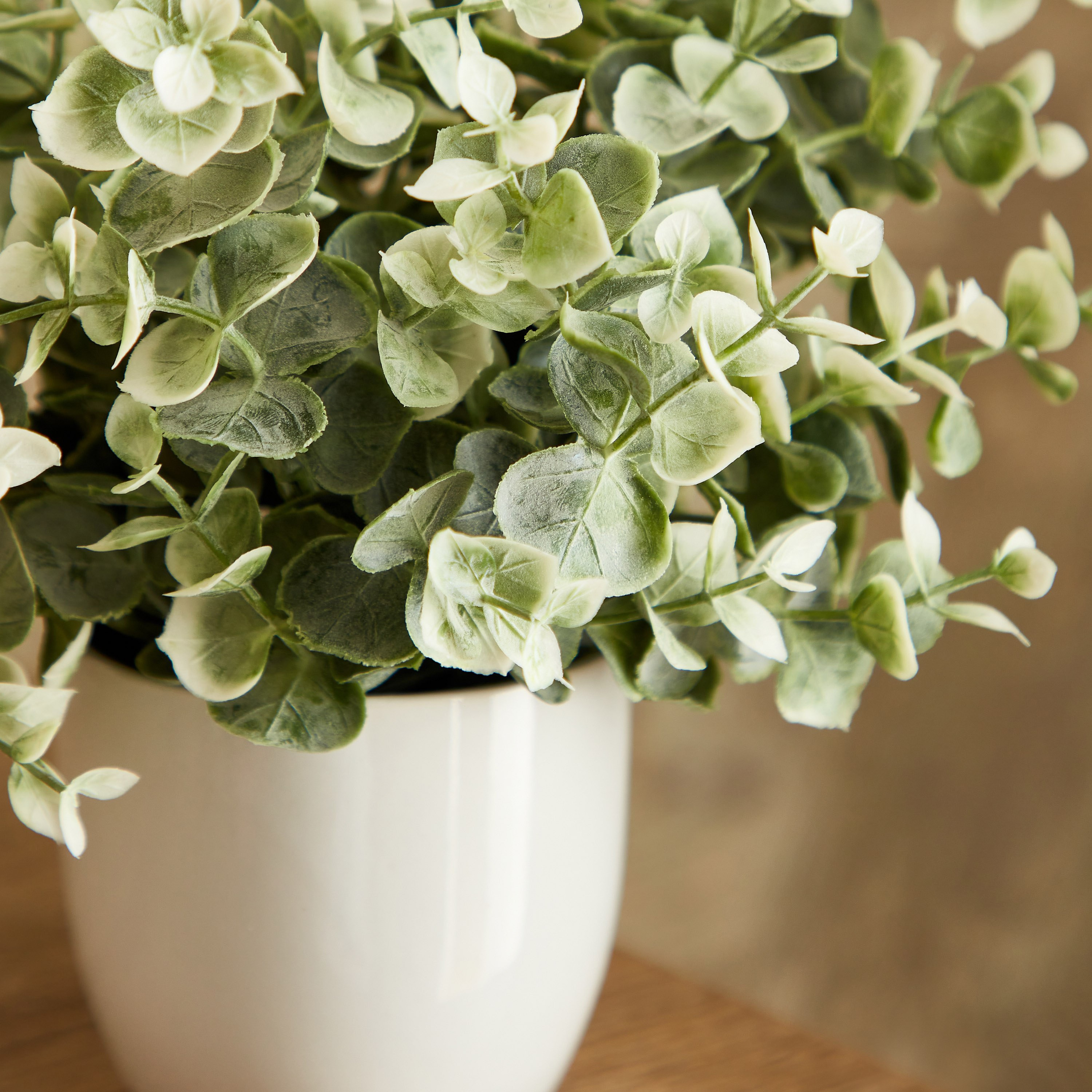 نبات صغير في وعاء سيراميك من إيدنيك - 25 سم-hbxdecorandfurnishings-homeaccessories-artificialflowersandplants-image-2