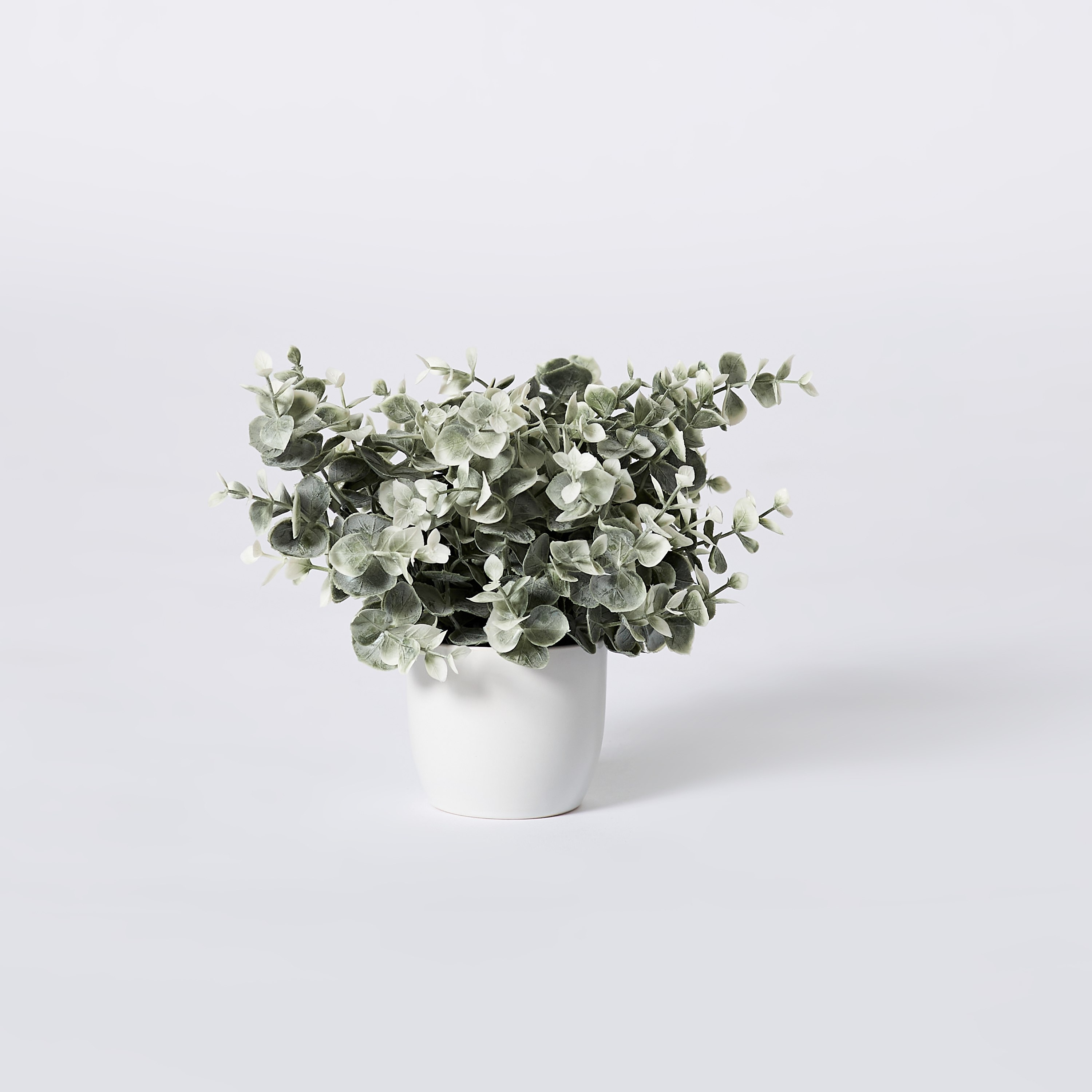 نبات صغير في وعاء سيراميك من إيدنيك - 25 سم-hbxdecorandfurnishings-homeaccessories-artificialflowersandplants-image-4