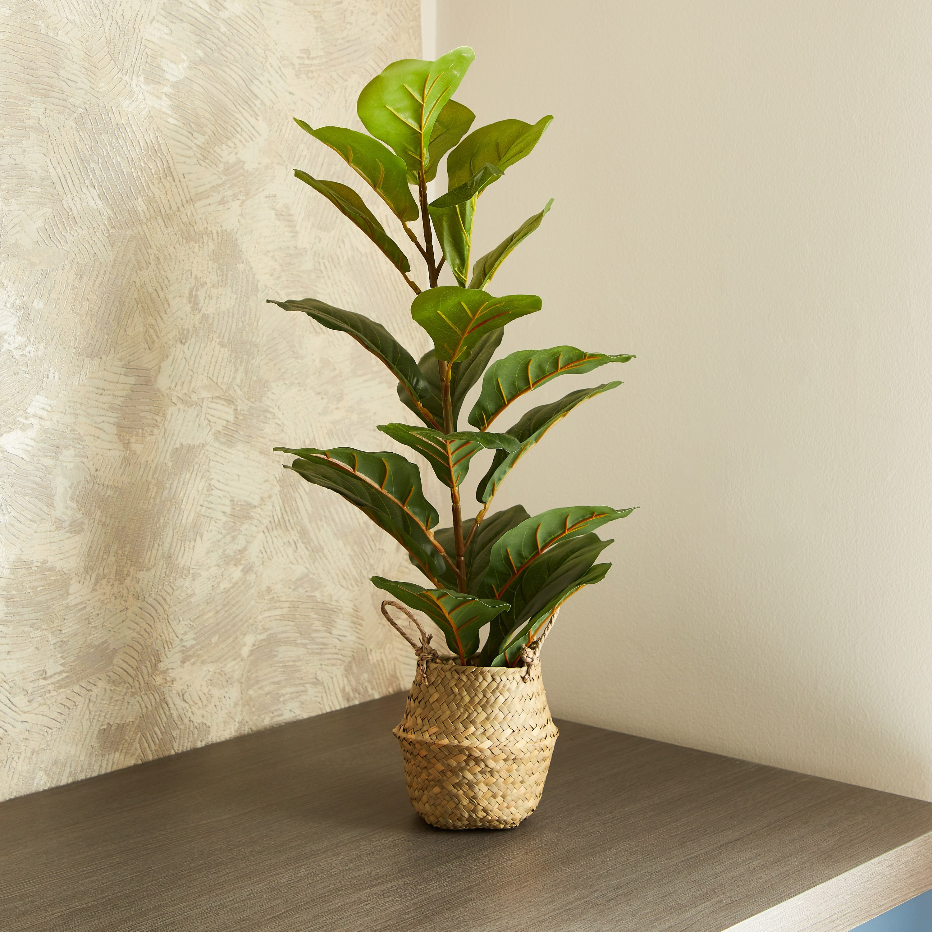 شجرة ديكور مع مزهرية داخل سلّة عشب من إيدنيك - 66 سم-hbxdecorandfurnishings-homeaccessories-artificialflowersandplants-image-1
