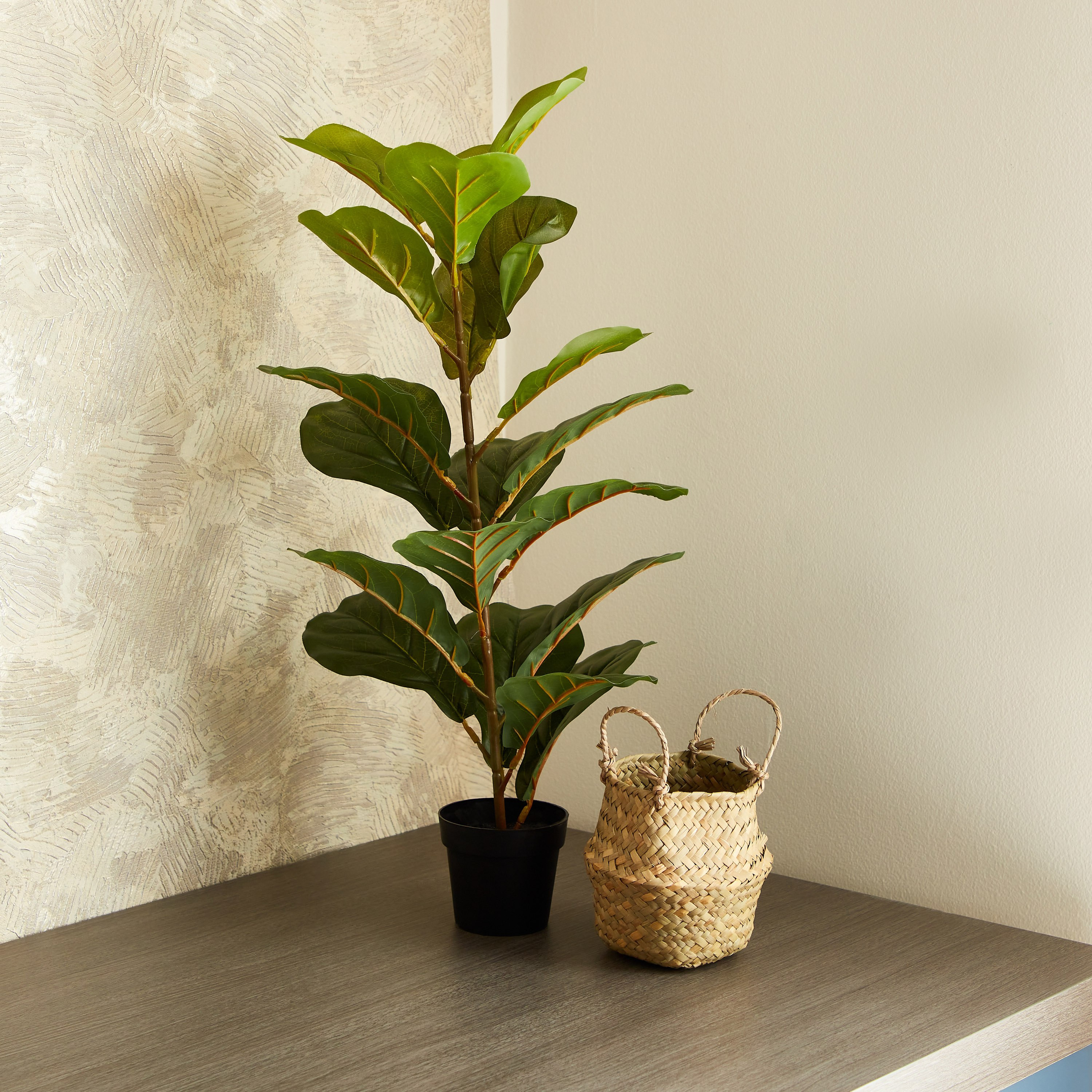شجرة ديكور مع مزهرية داخل سلّة عشب من إيدنيك - 66 سم-hbxdecorandfurnishings-homeaccessories-artificialflowersandplants-image-2