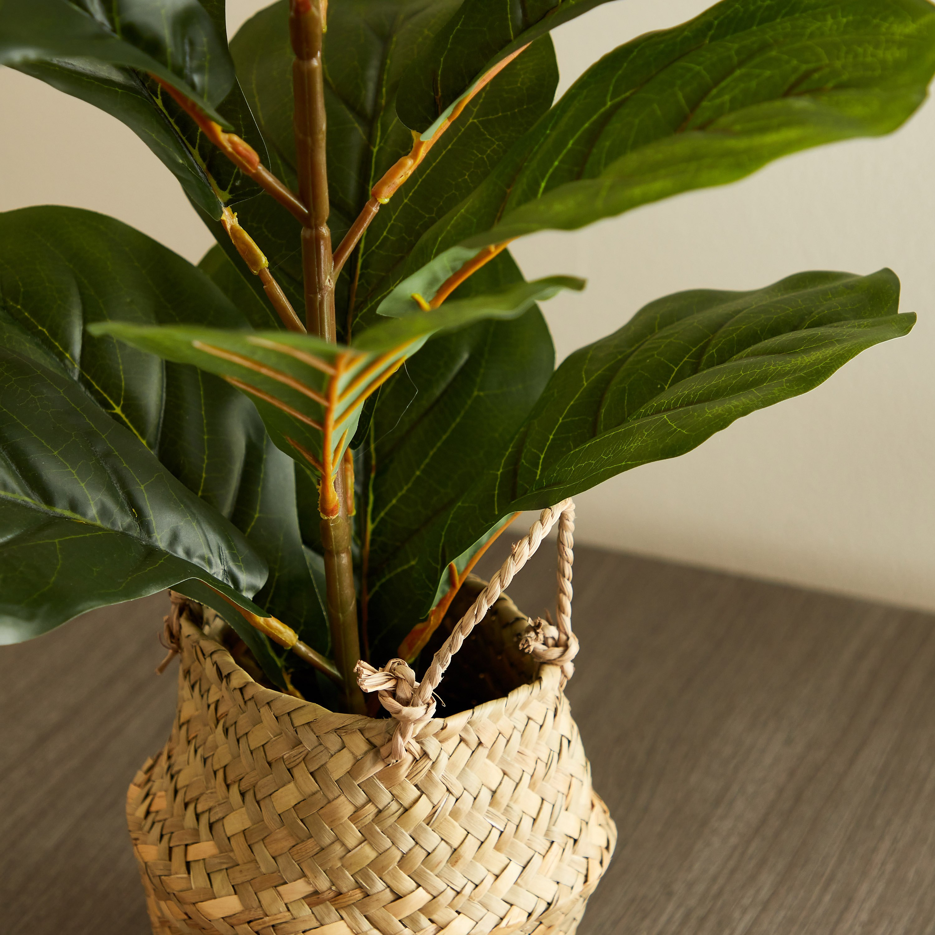 شجرة ديكور مع مزهرية داخل سلّة عشب من إيدنيك - 66 سم-hbxdecorandfurnishings-homeaccessories-artificialflowersandplants-image-3