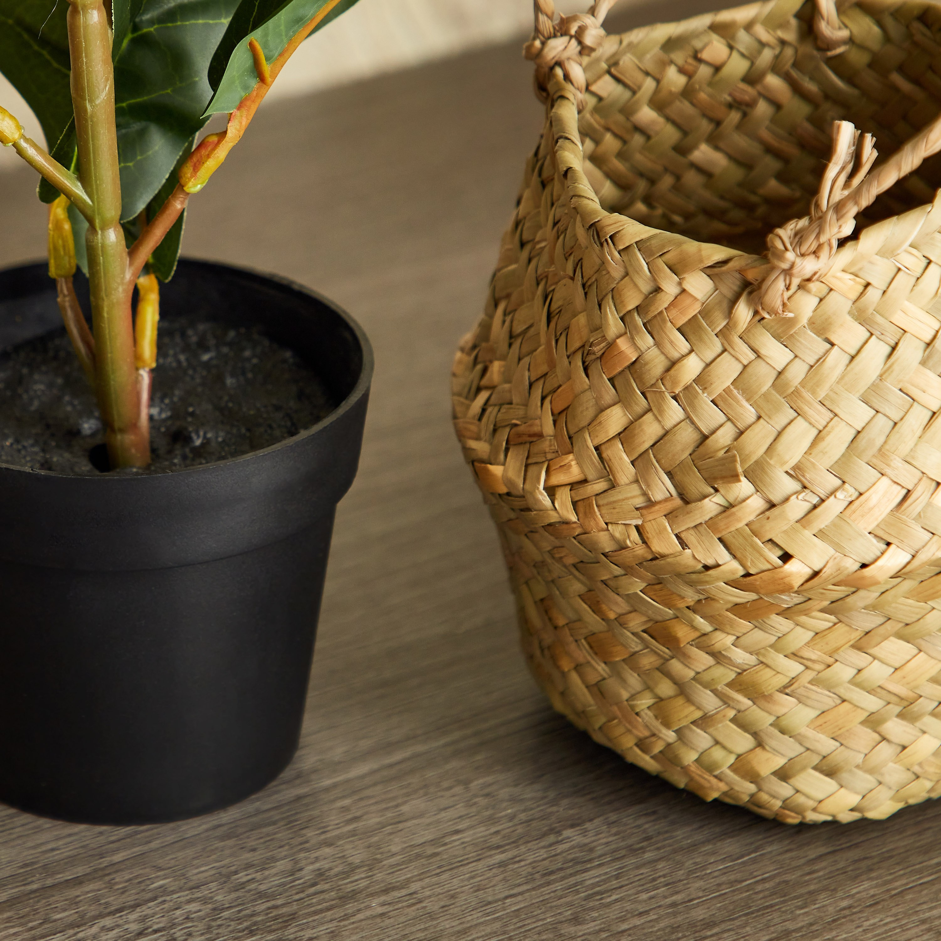 شجرة ديكور مع مزهرية داخل سلّة عشب من إيدنيك - 66 سم-hbxdecorandfurnishings-homeaccessories-artificialflowersandplants-image-4