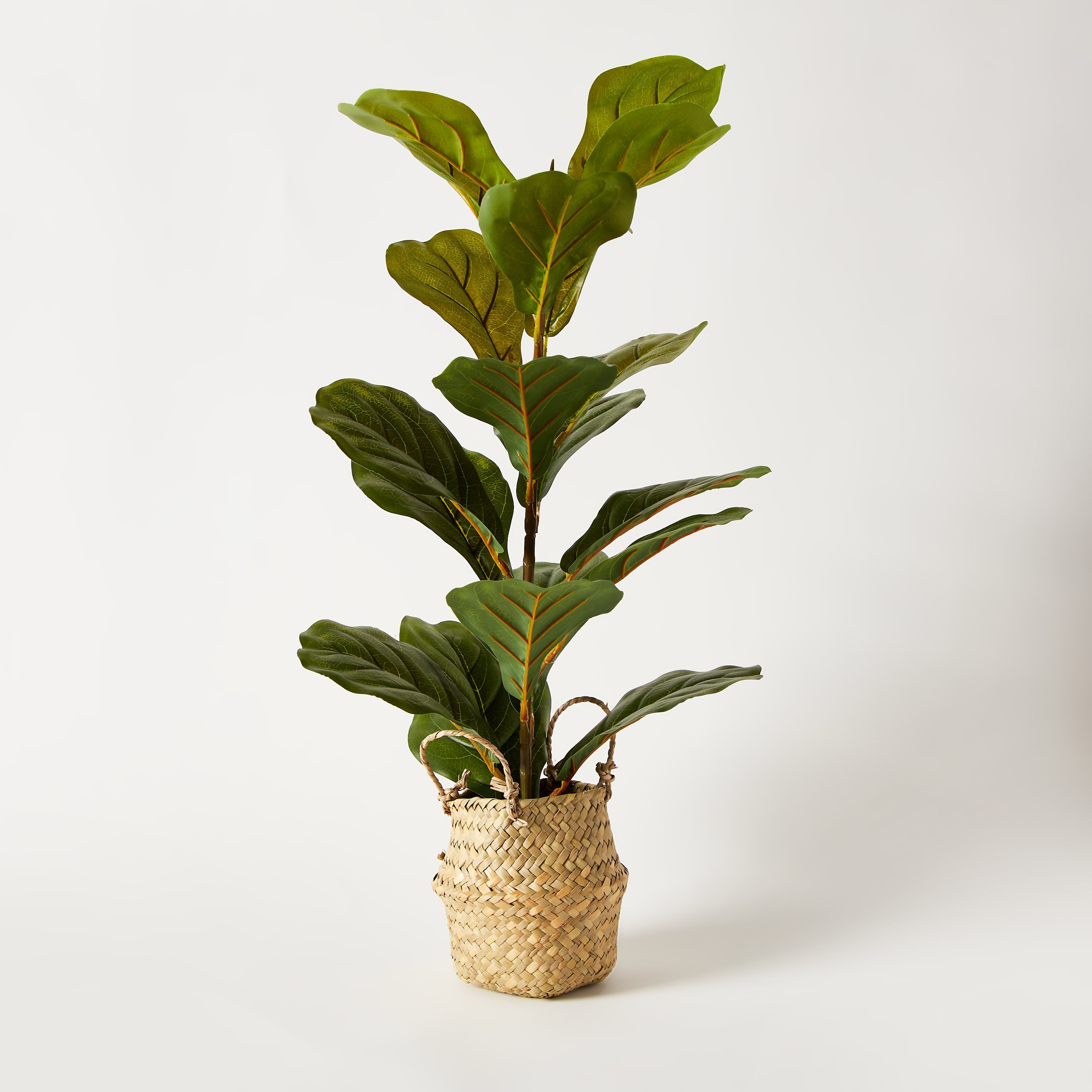 شجرة ديكور مع مزهرية داخل سلّة عشب من إيدنيك - 66 سم-hbxdecorandfurnishings-homeaccessories-artificialflowersandplants-image-6