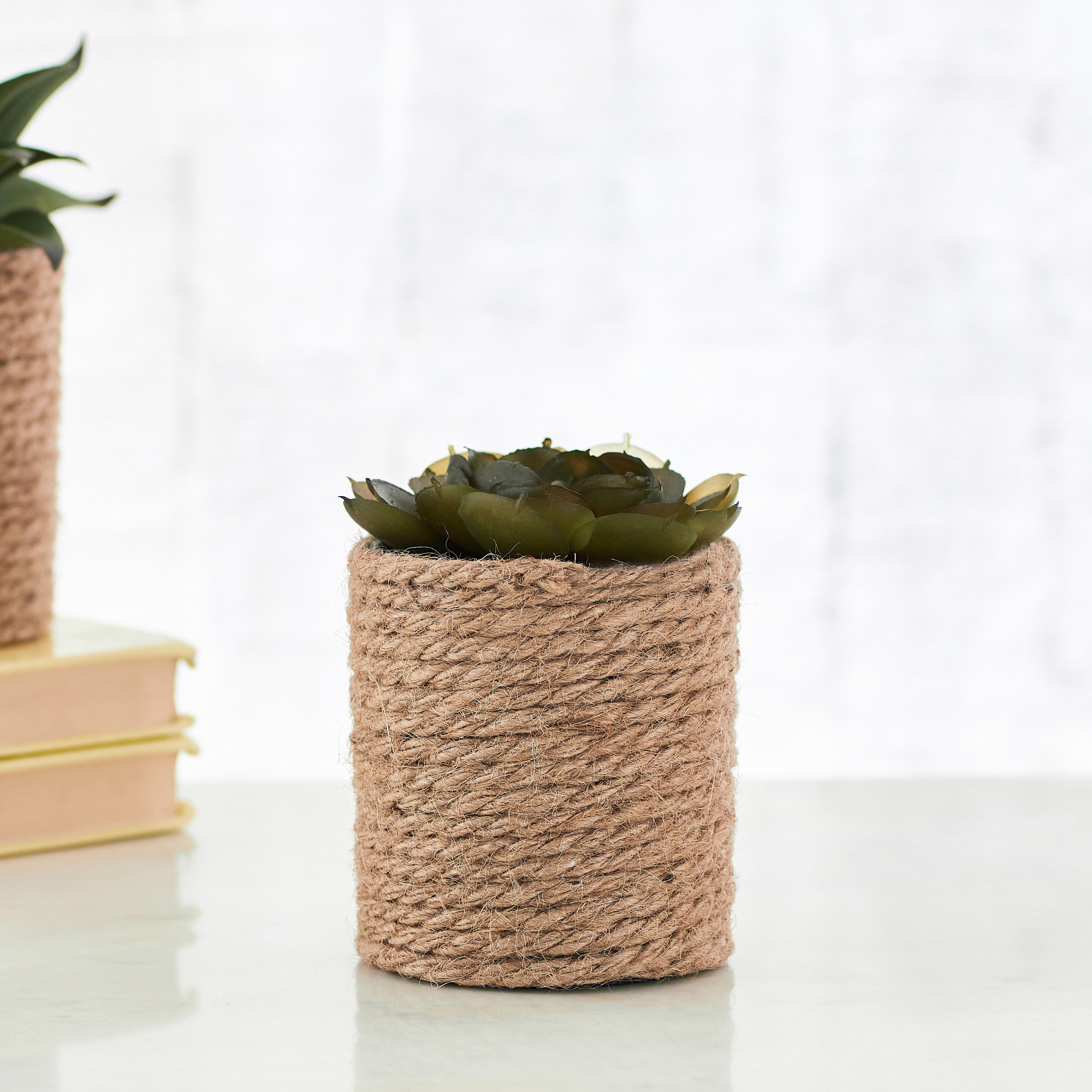 نبات عصاري صغير مع إناء زرع جوت من إيدينك - 10 سم-hbxdecorandfurnishings-homeaccessories-artificialflowersandplants-image-1