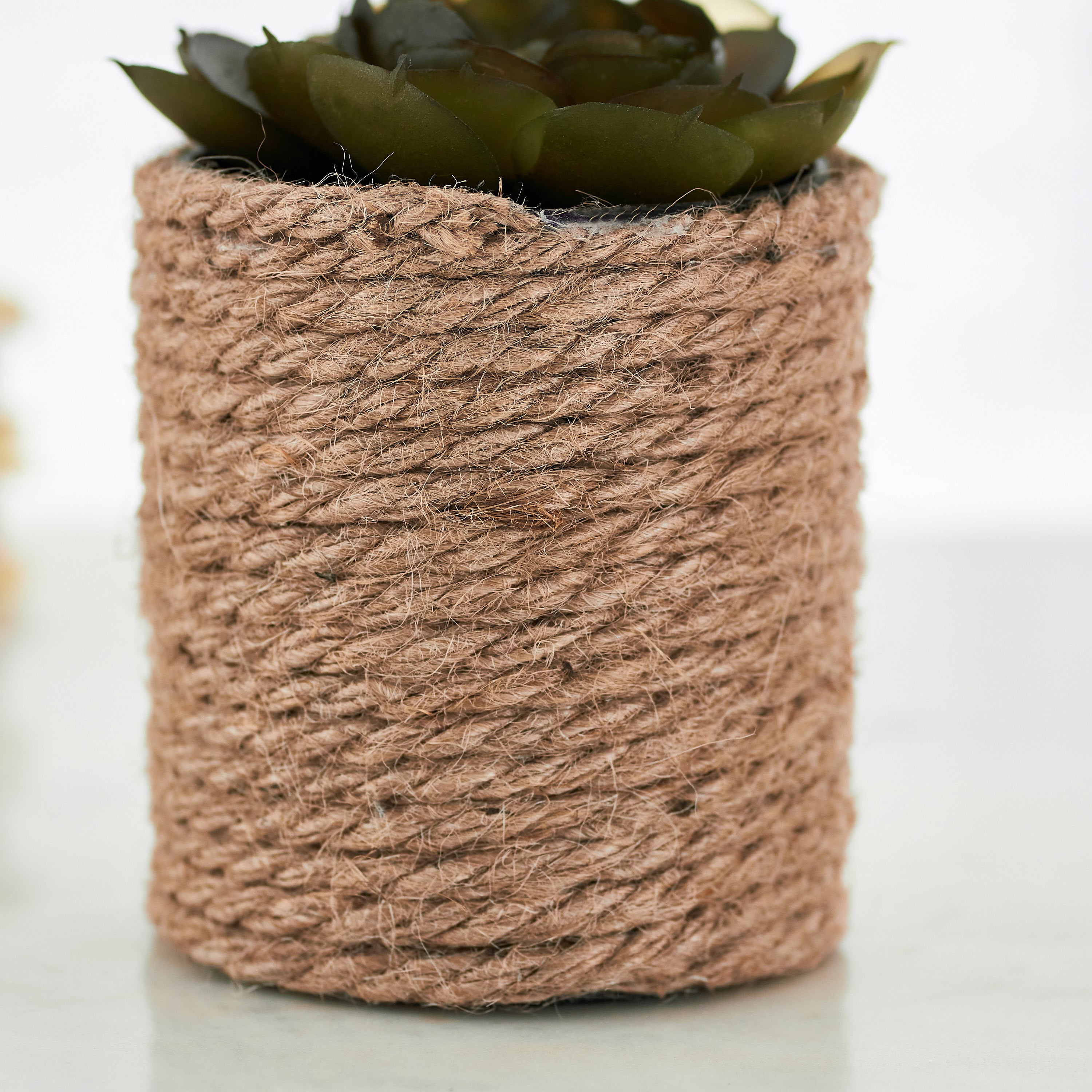 نبات عصاري صغير مع إناء زرع جوت من إيدينك - 10 سم-hbxdecorandfurnishings-homeaccessories-artificialflowersandplants-image-3