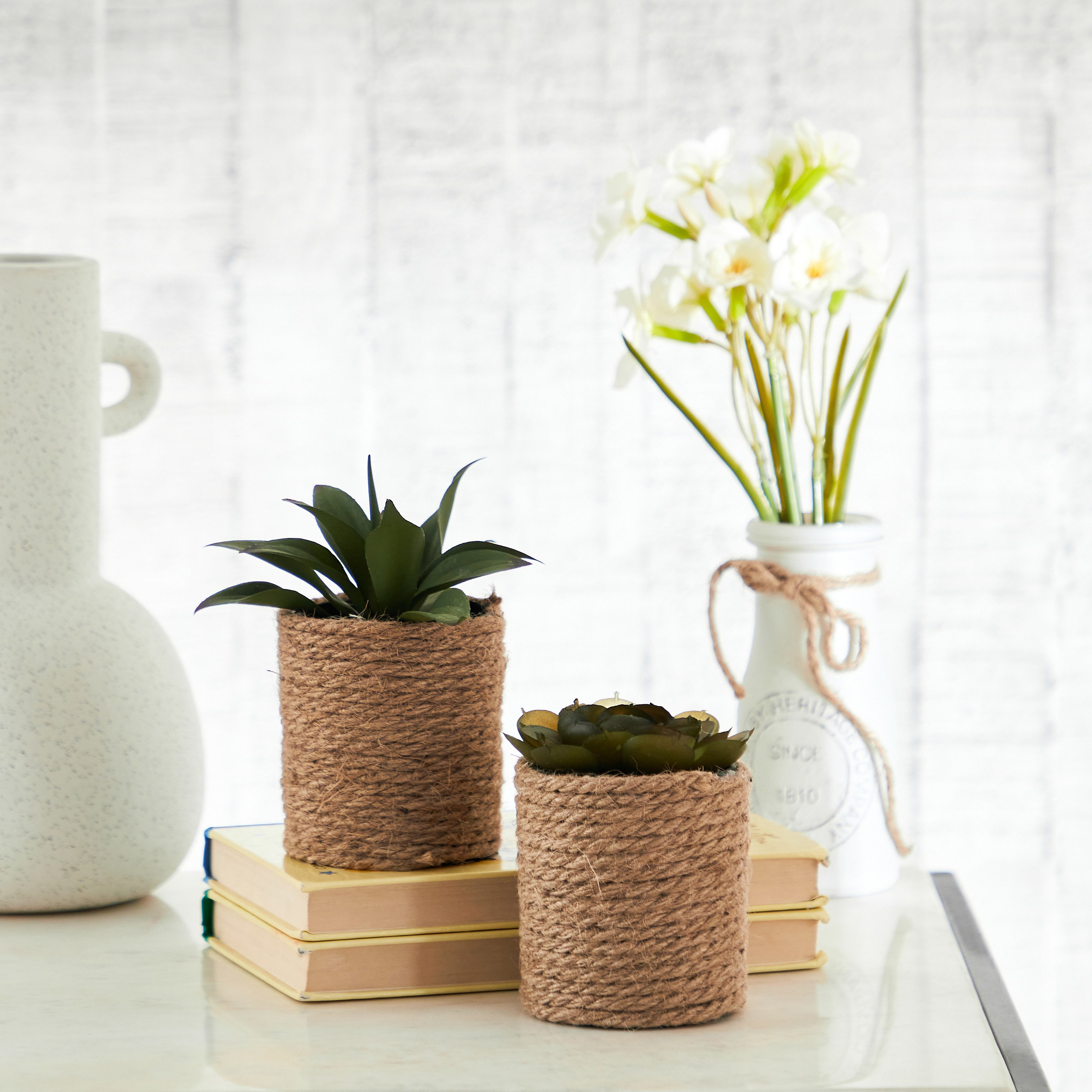 نبات عصاري صغير مع إناء زرع جوت من إيدينك - 10 سم-hbxdecorandfurnishings-homeaccessories-artificialflowersandplants-image-4