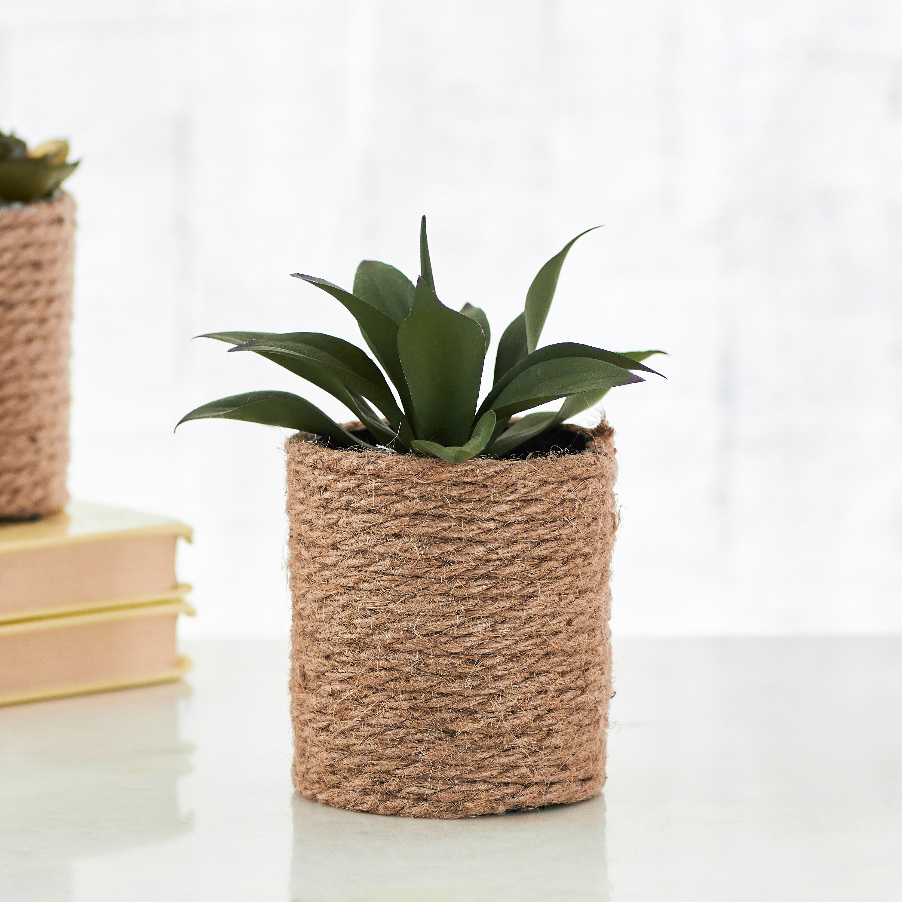 نبات عصاري صغير مع إناء زرع جوت من إيدينك - 14 سم-hbxdecorandfurnishings-homeaccessories-artificialflowersandplants-image-1