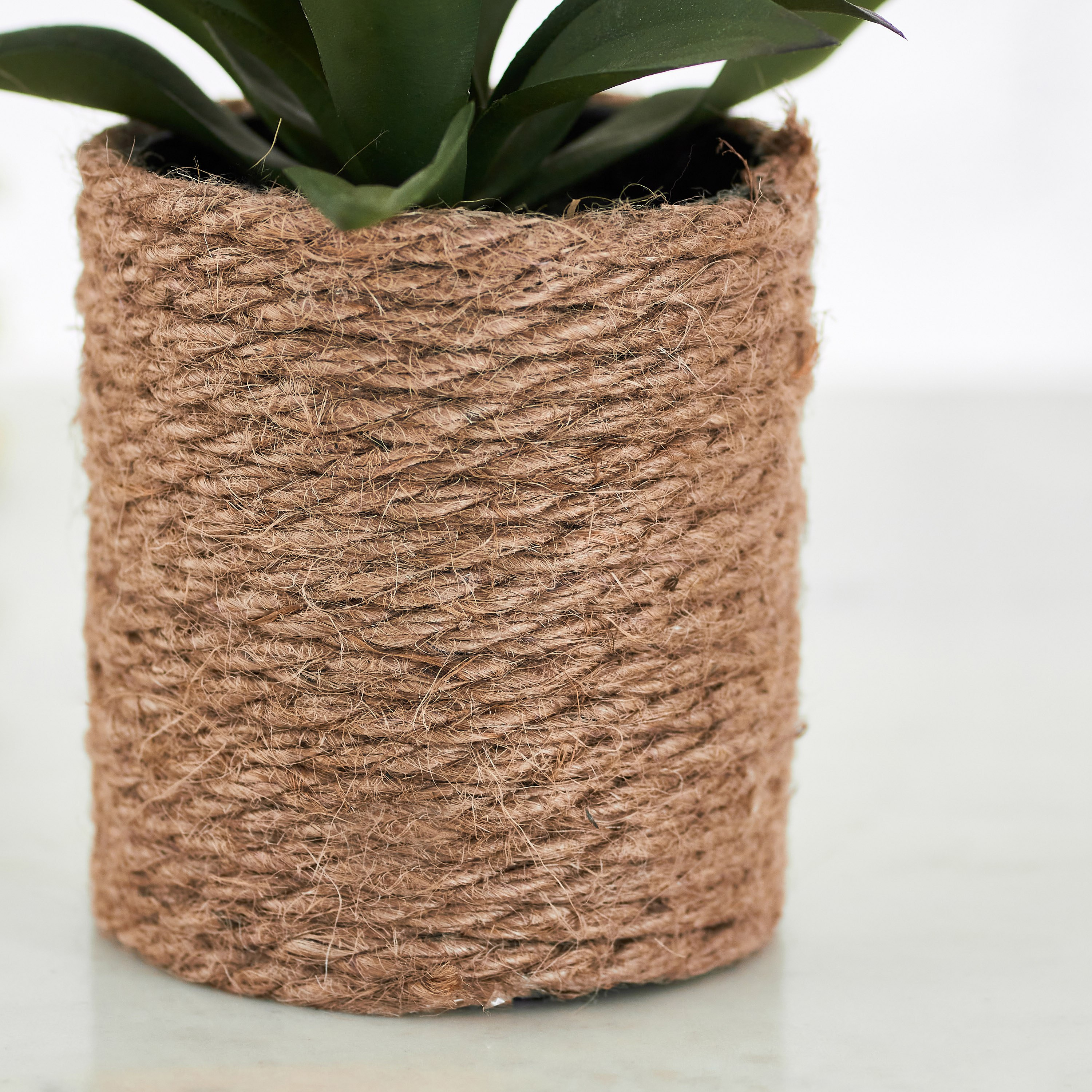 نبات عصاري صغير مع إناء زرع جوت من إيدينك - 14 سم-hbxdecorandfurnishings-homeaccessories-artificialflowersandplants-image-3