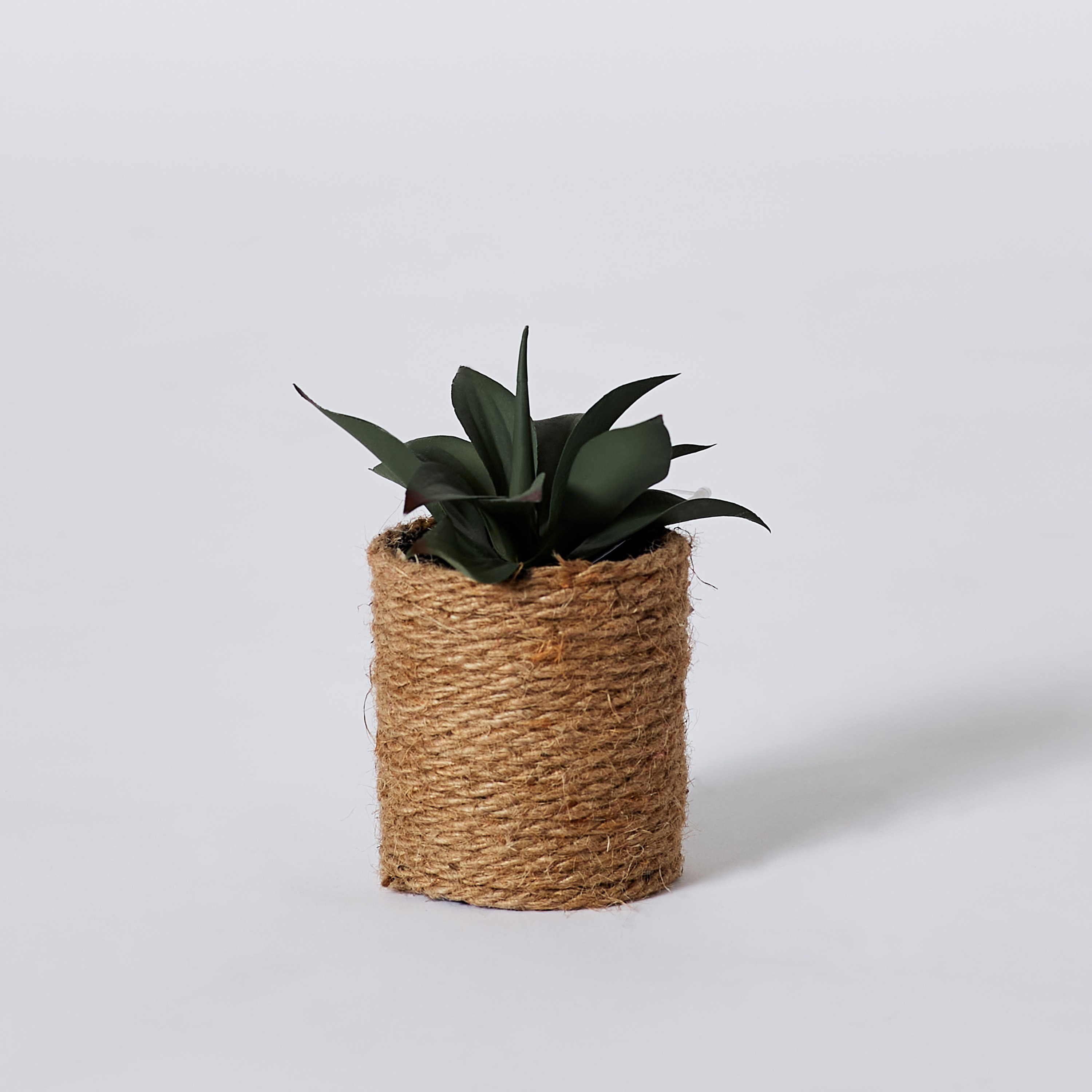 نبات عصاري صغير مع إناء زرع جوت من إيدينك - 14 سم-hbxdecorandfurnishings-homeaccessories-artificialflowersandplants-image-5