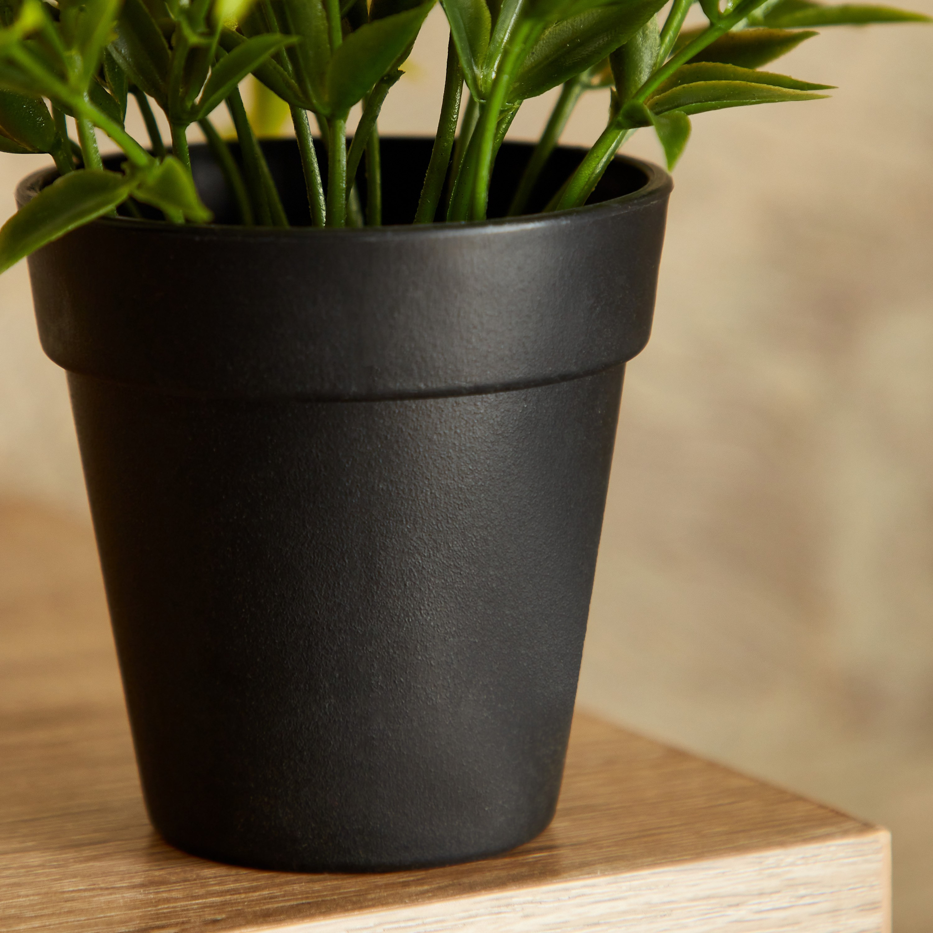 نبات صغير في وعاء بلاستيك من إيدينك - 15 سم-hbxdecorandfurnishings-homeaccessories-artificialflowersandplants-image-3