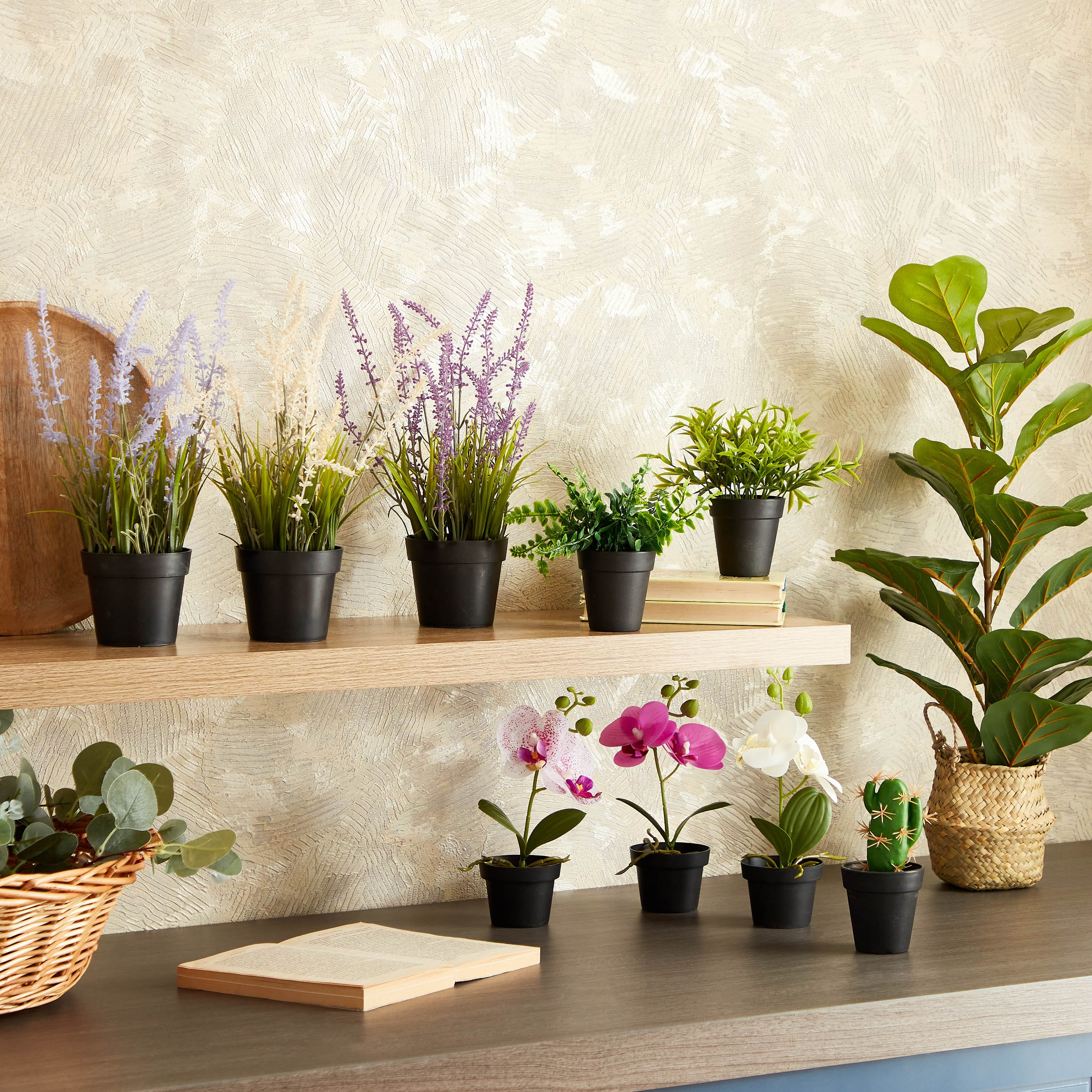 نبات صغير في وعاء بلاستيك من إيدينك - 15 سم-hbxdecorandfurnishings-homeaccessories-artificialflowersandplants-image-4