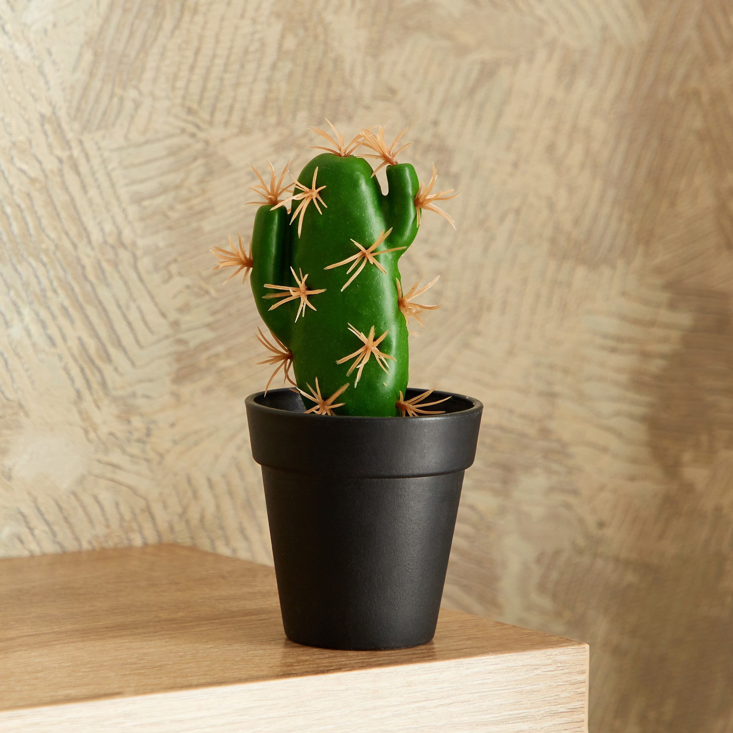 نبات صبار صغير مع إناء زرع من إيدنيك - 15 سم-hbxdecorandfurnishings-homeaccessories-artificialflowersandplants-image-1