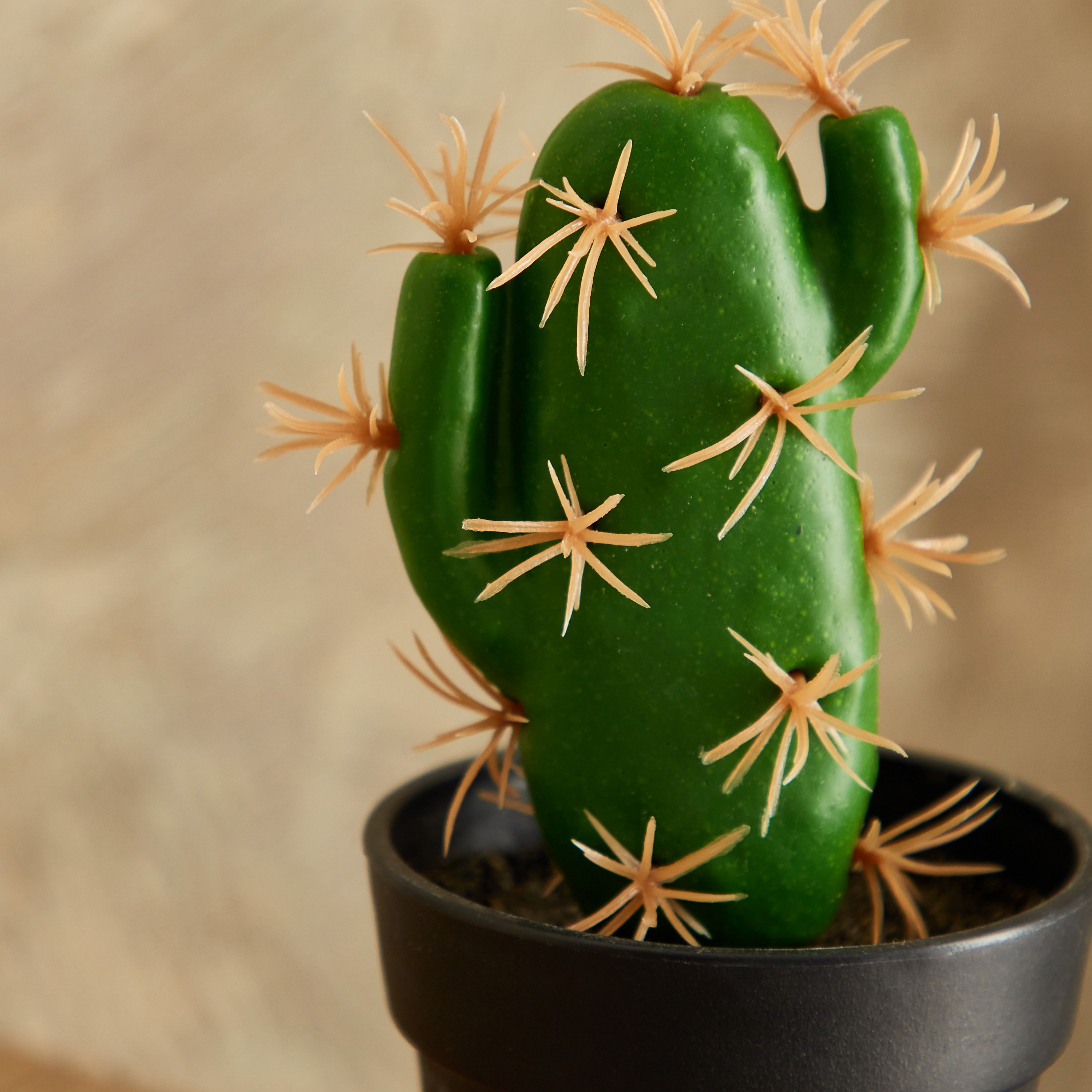 نبات صبار صغير مع إناء زرع من إيدنيك - 15 سم-hbxdecorandfurnishings-homeaccessories-artificialflowersandplants-image-2