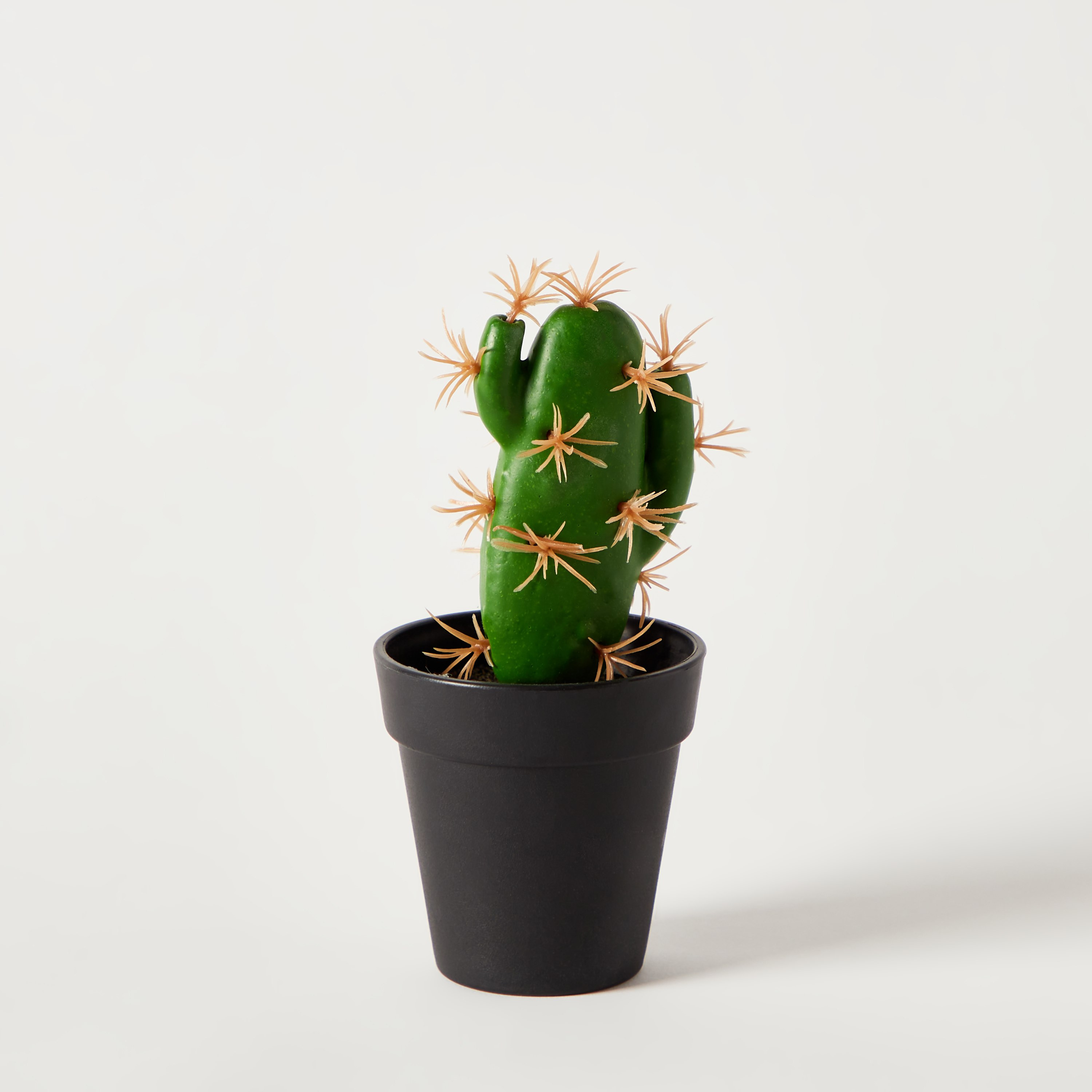 نبات صبار صغير مع إناء زرع من إيدنيك - 15 سم-hbxdecorandfurnishings-homeaccessories-artificialflowersandplants-image-4