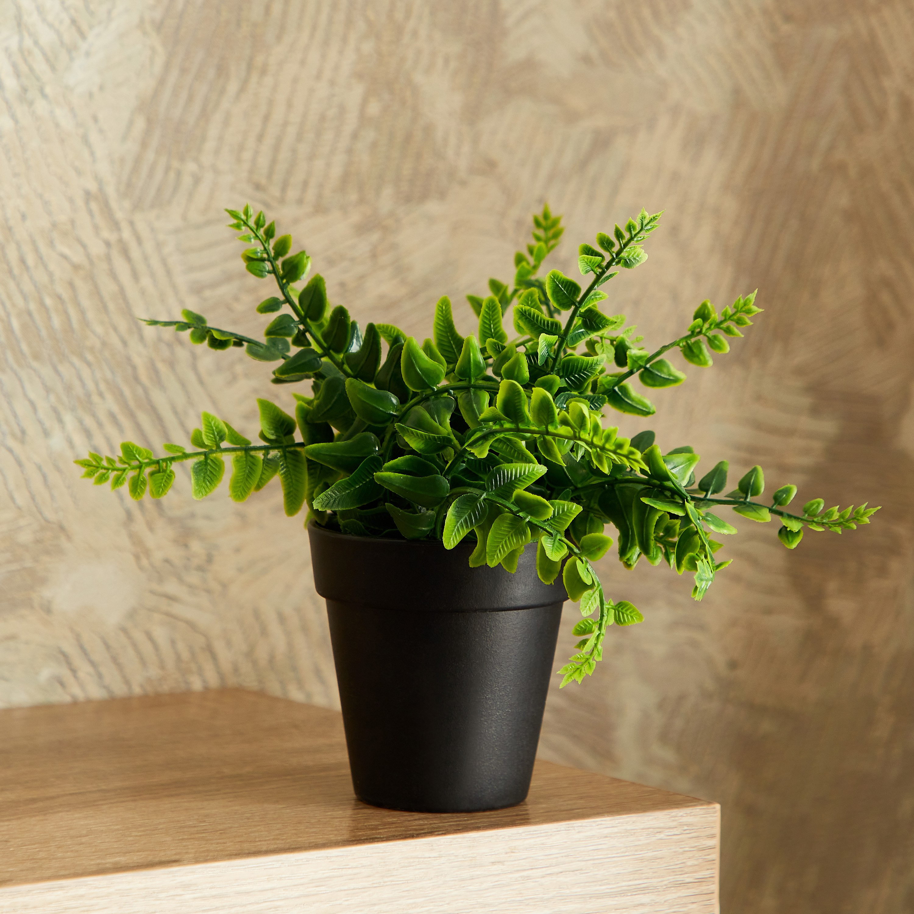 نبات صغير في وعاء من إيدنيك - 15 سم-hbxdecorandfurnishings-homeaccessories-artificialflowersandplants-image-1