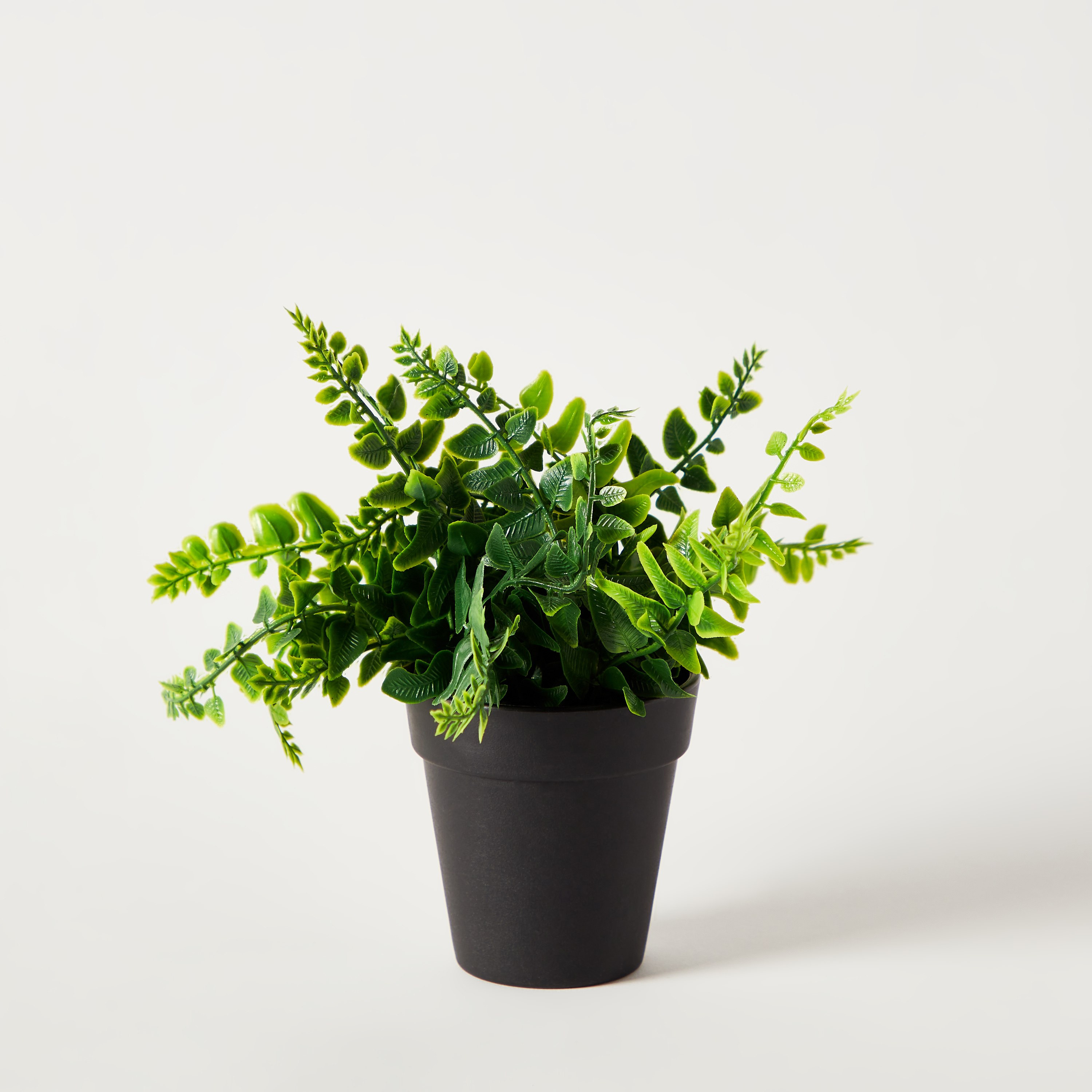 نبات صغير في وعاء من إيدنيك - 15 سم-hbxdecorandfurnishings-homeaccessories-artificialflowersandplants-image-4