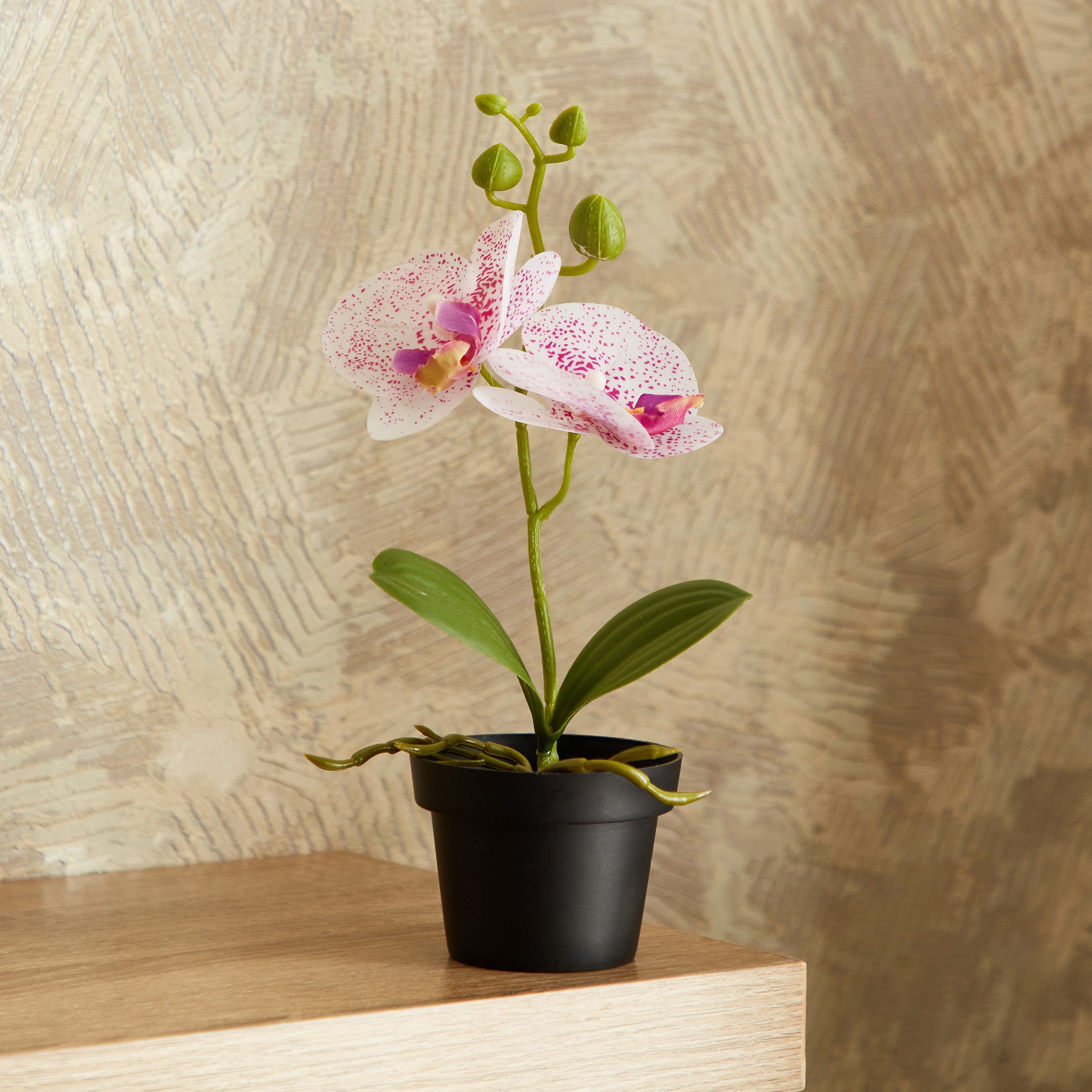 نبات أوركيد في إناء - إيدنيك - 25 سم-hbxdecorandfurnishings-homeaccessories-artificialflowersandplants-image-1