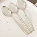 Vermont 3-Piece Dinner Spoon Set - 1.6 mm-Cutlery-thumbnail-0
