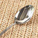 Vermont Serving Spoon-Cutlery-thumbnail-1