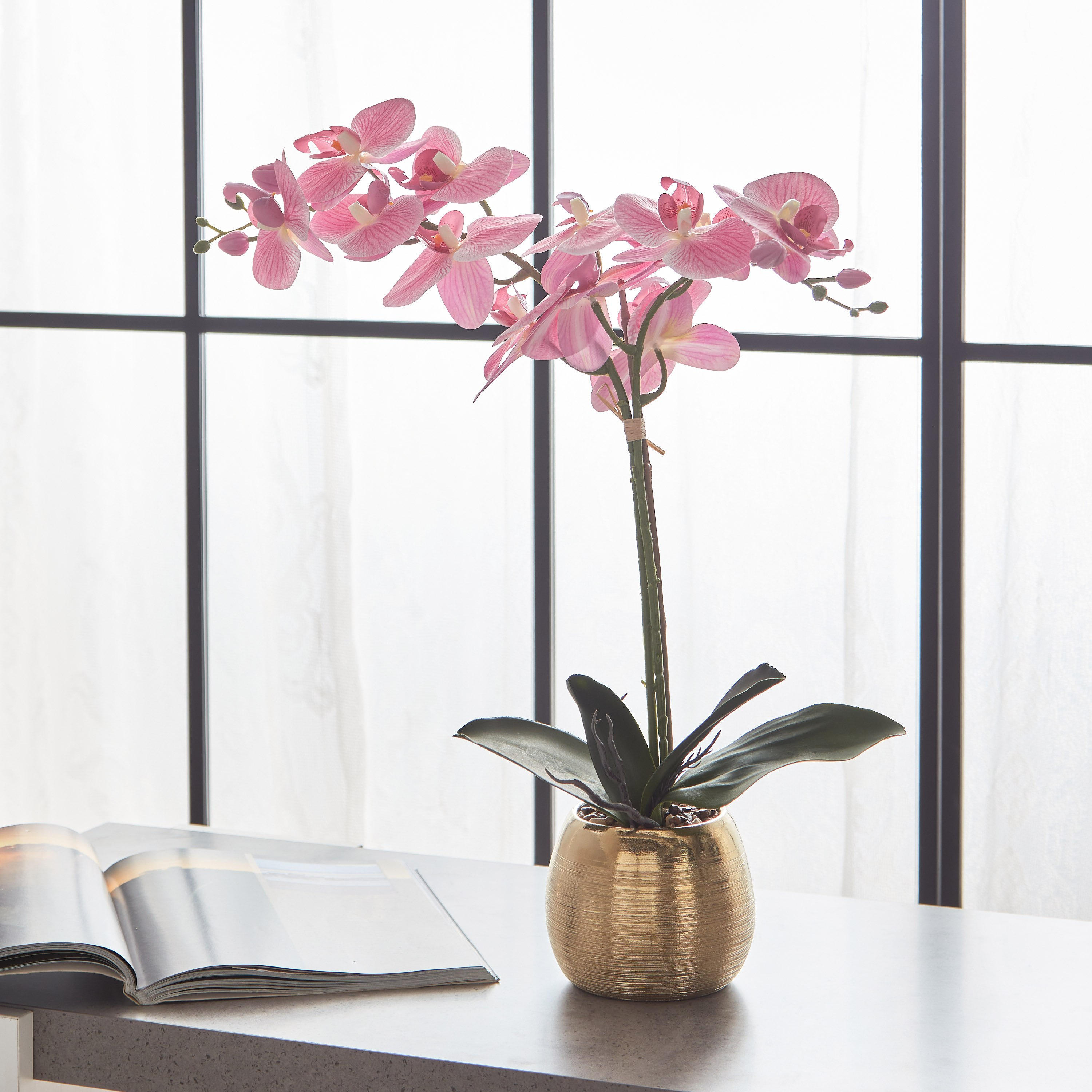 نبات أوركيد وردي داخل إناء زرع سيراميك مطلي من أليسا  - 49 سم-hbxdecorandfurnishings-homeaccessories-artificialflowersandplants-image-1