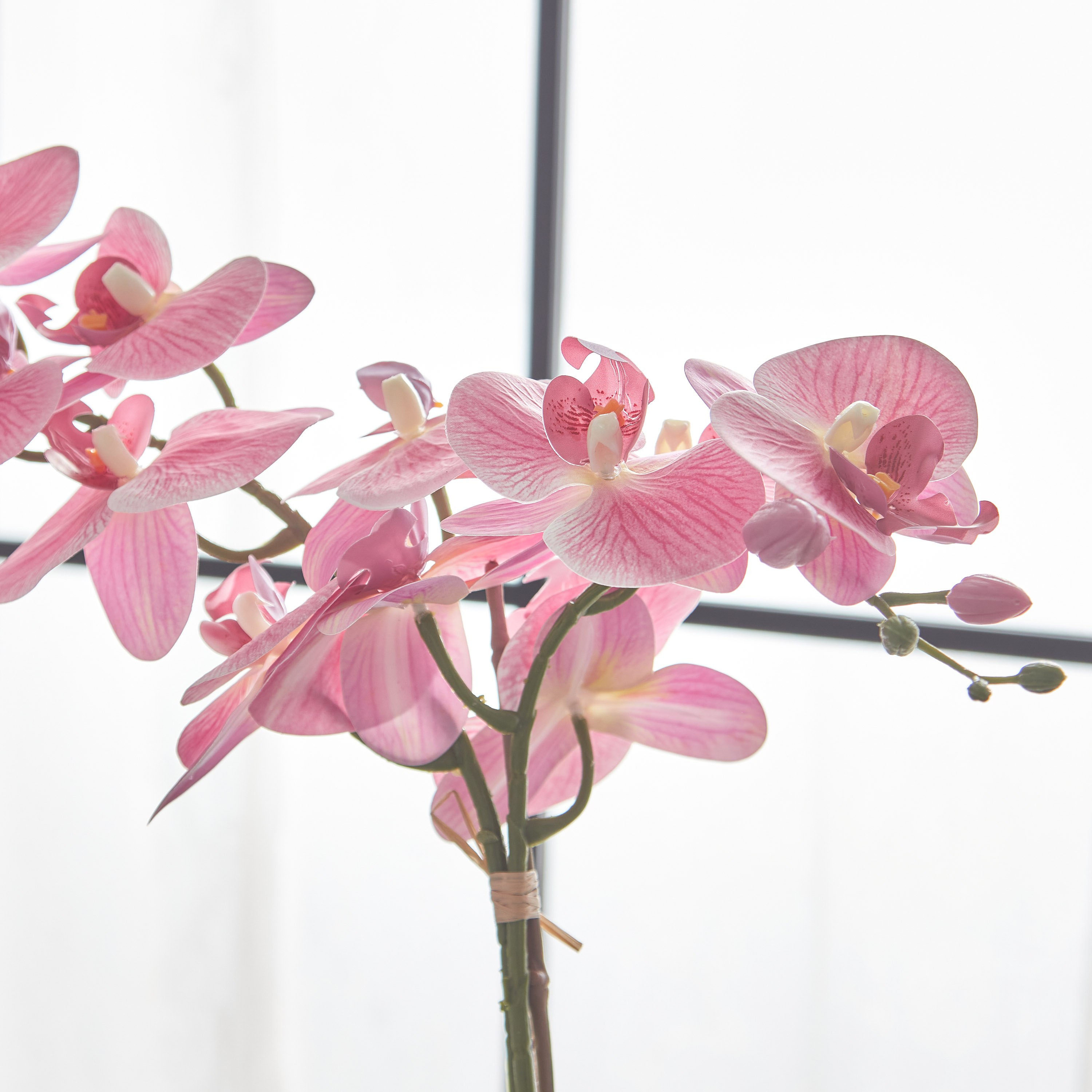 نبات أوركيد وردي داخل إناء زرع سيراميك مطلي من أليسا  - 49 سم-hbxdecorandfurnishings-homeaccessories-artificialflowersandplants-image-2