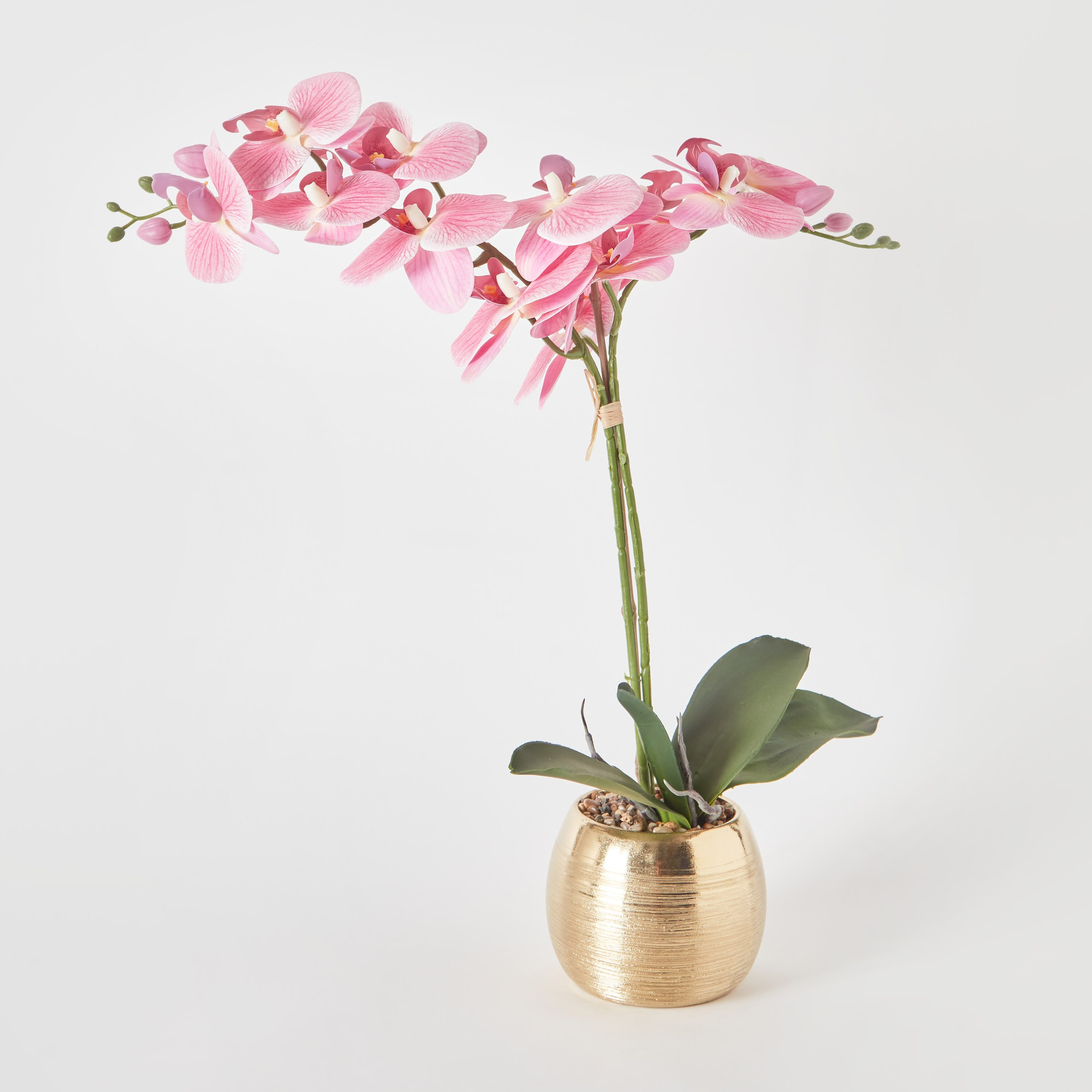 نبات أوركيد وردي داخل إناء زرع سيراميك مطلي من أليسا  - 49 سم-hbxdecorandfurnishings-homeaccessories-artificialflowersandplants-image-5